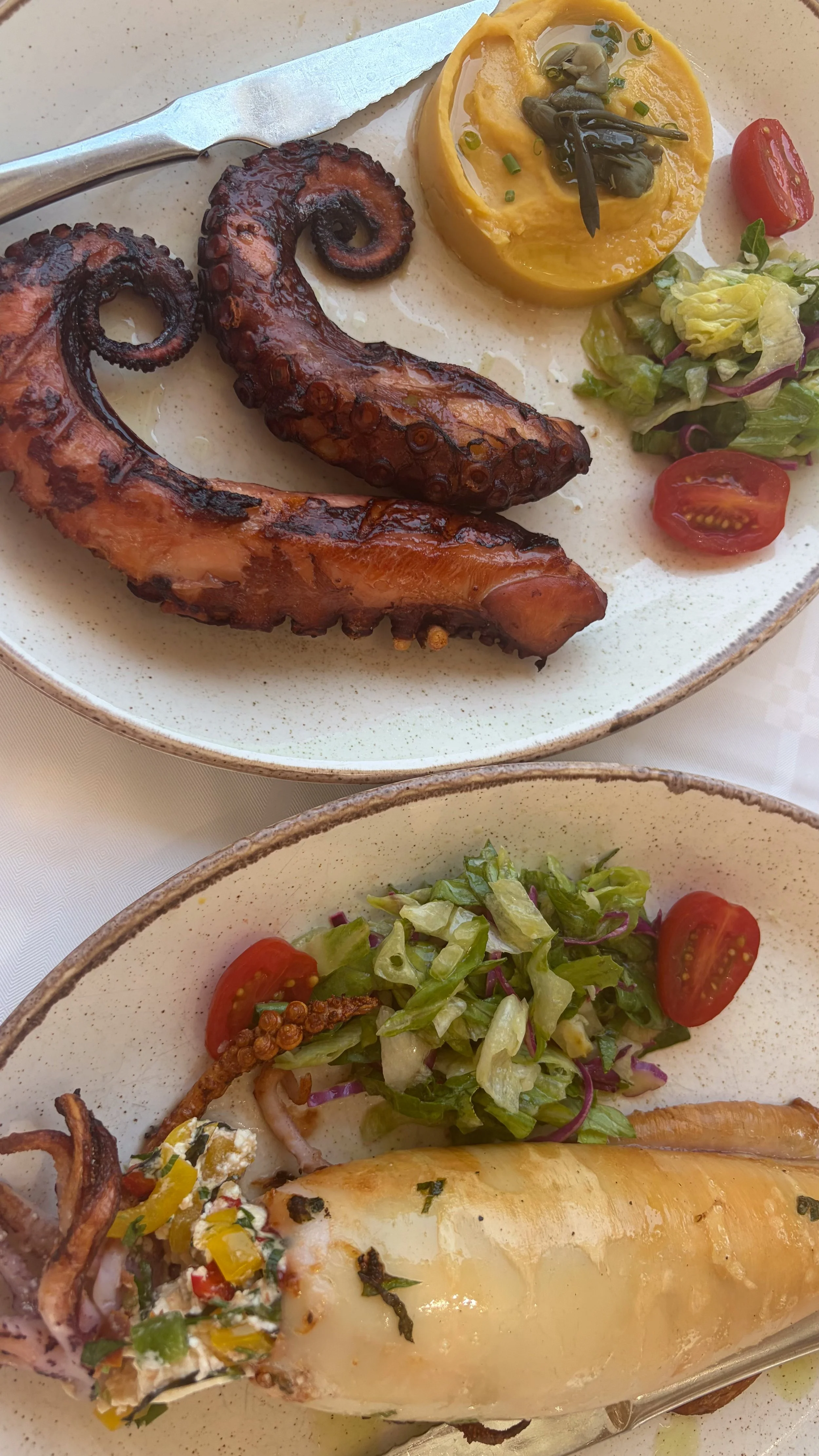 Best Grilled Octopus and Stuffed Calamari - Astakas Cafe Klima on Milos
