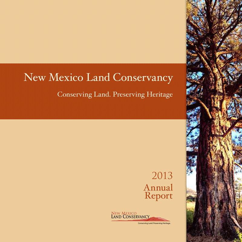 Cover page of the 2013 annual report for the New Mexico Land Conservancy, featuring a large tree on the right and text about land conservation.