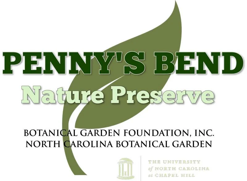 Logo for Penny's Bend Nature Preserve by the Botanical Garden Foundation, Inc. North Carolina Botanical Garden, featuring a large green leaf graphic.