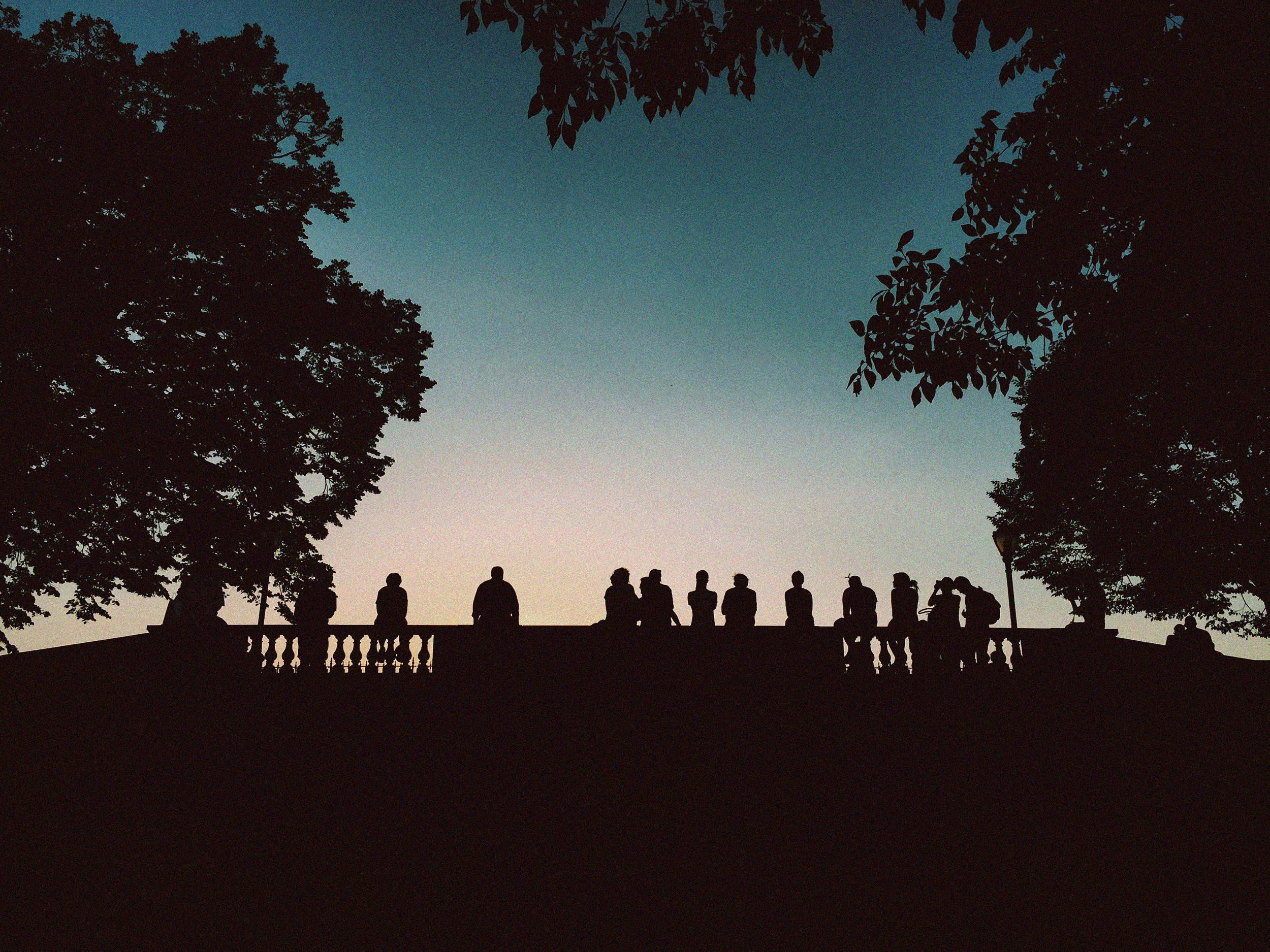 Silhouettes of people stand casually on a bridge framed by large tree branches against a gradient evening sky, conveying tranquility and community.