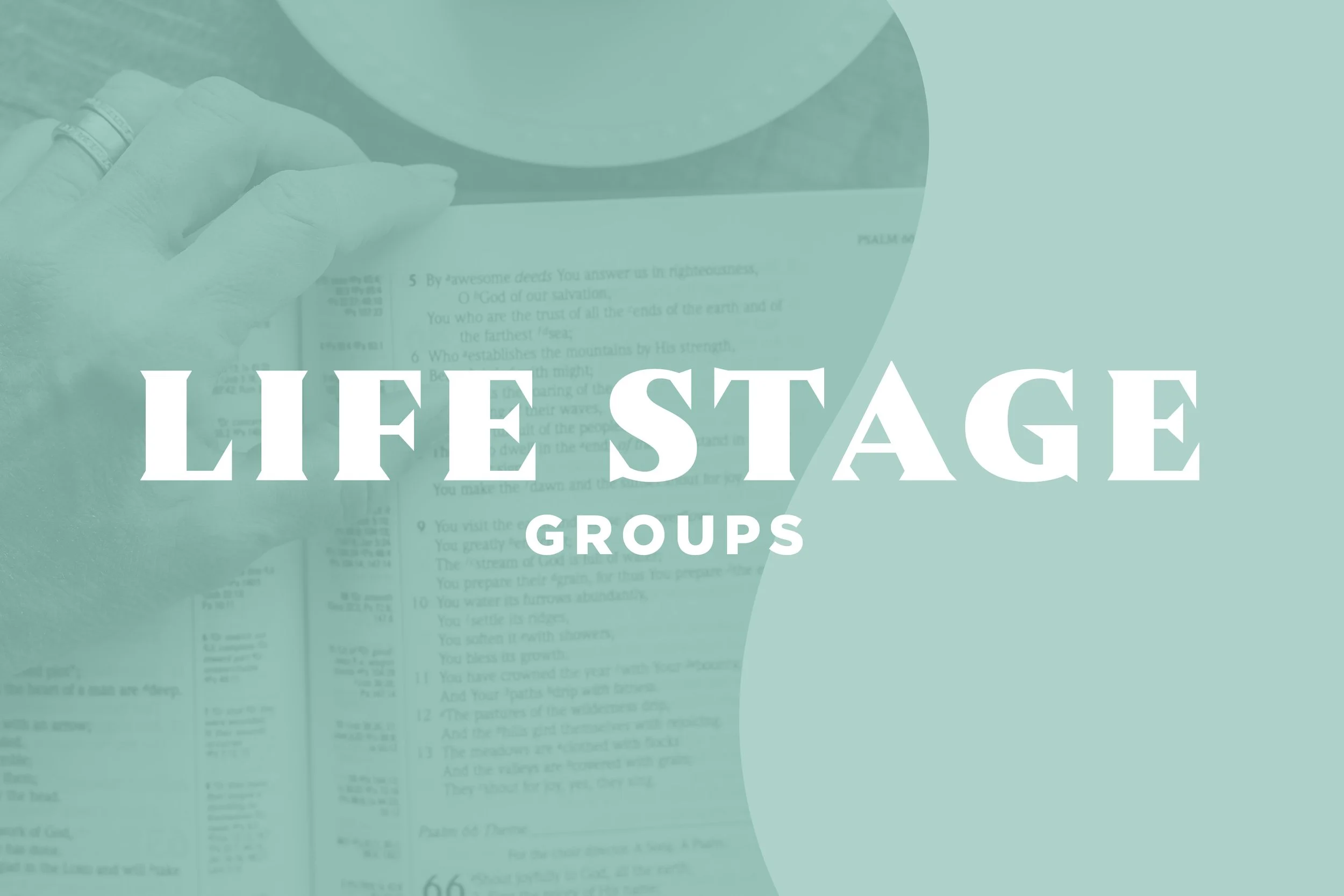 Life Stage Groups: Spring Semester