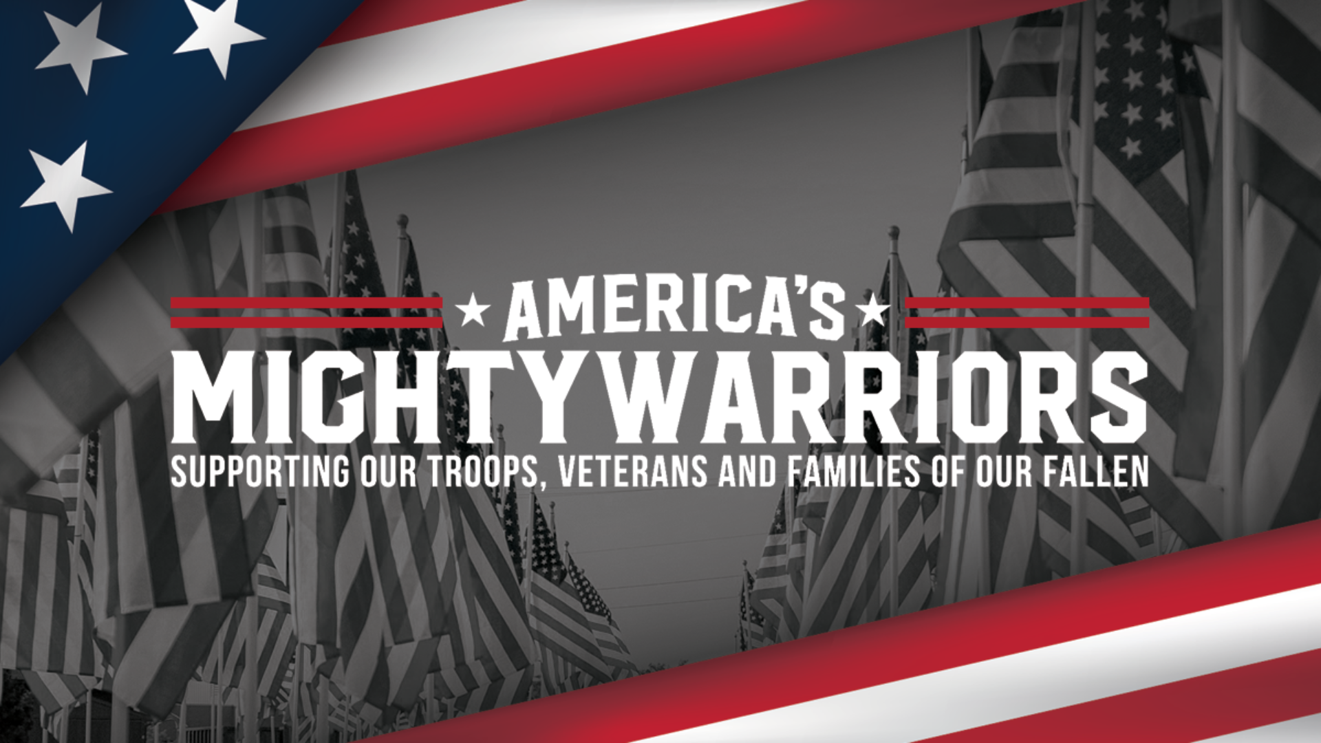 America's Mighty Warriors – Ministry Partner