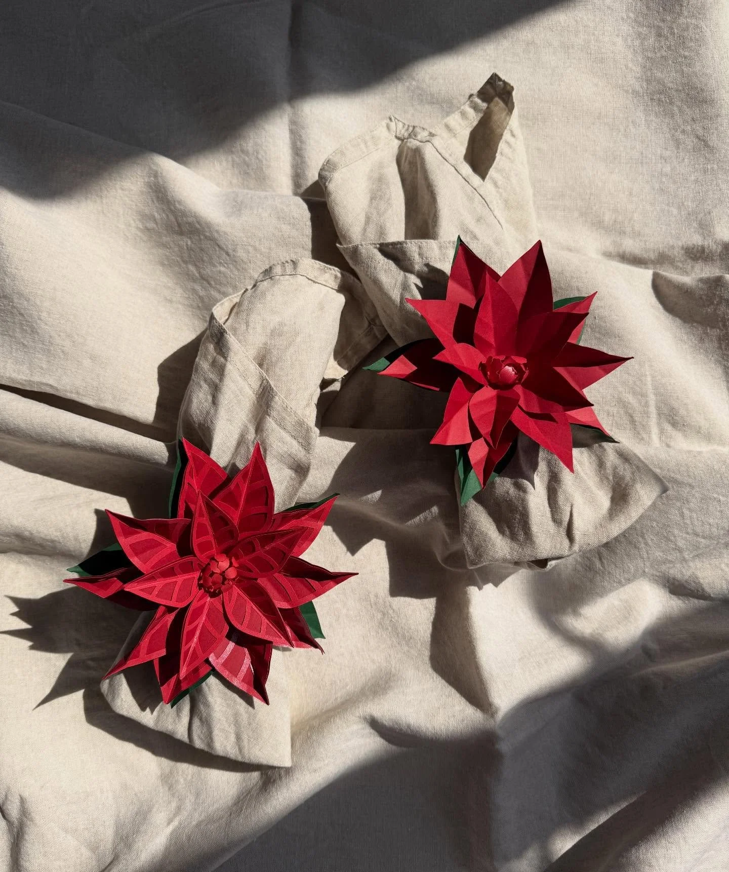 | POINSETTIAS 

The countdown to Christmas is on, how did that happen? With only a week to go I (Claire), wanted to celebrate some of the incredible work we have done this season and get the grid looking a little more festive 🎄

Not only did we teac