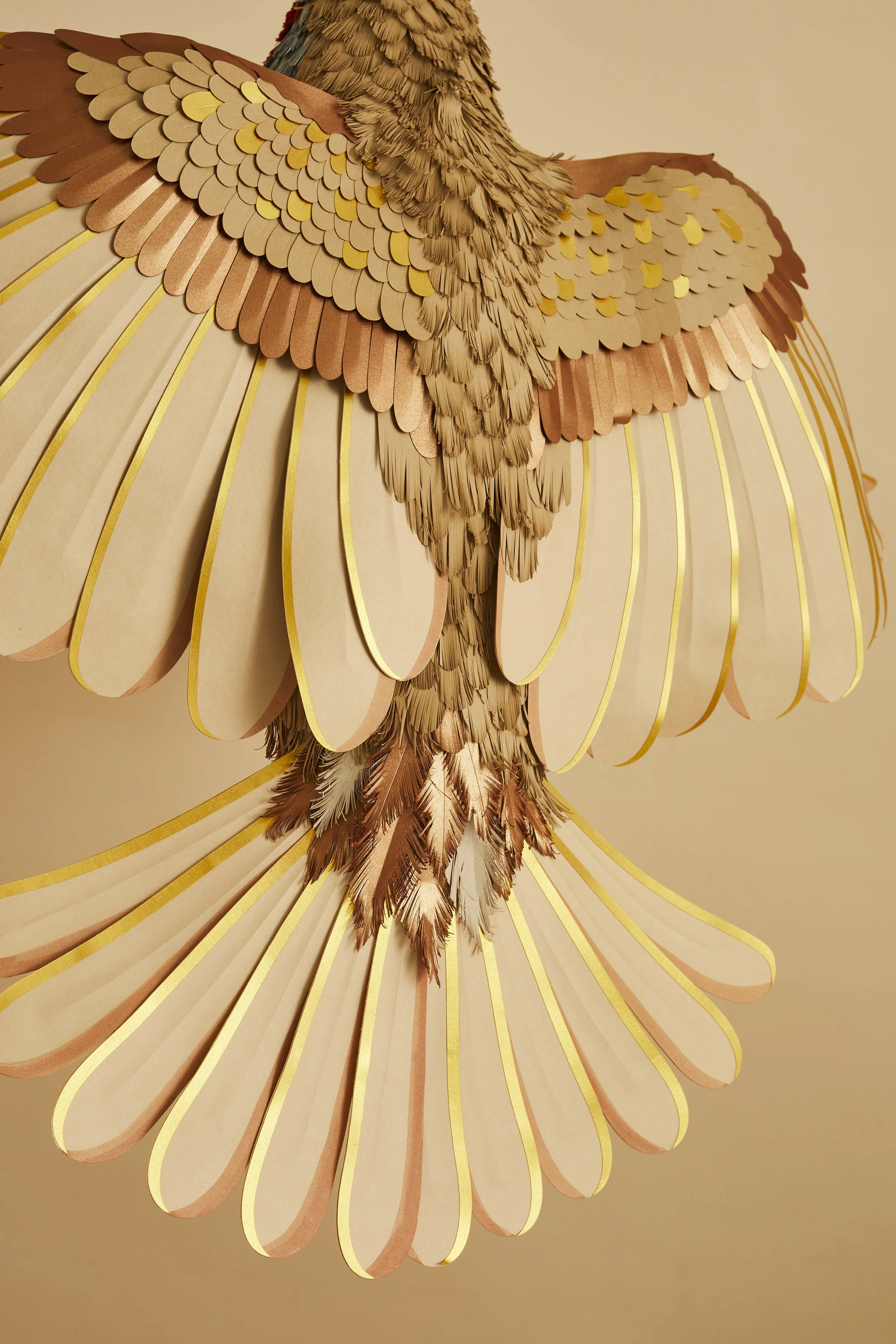 65-carta-and-wood-paper-artist.jpg