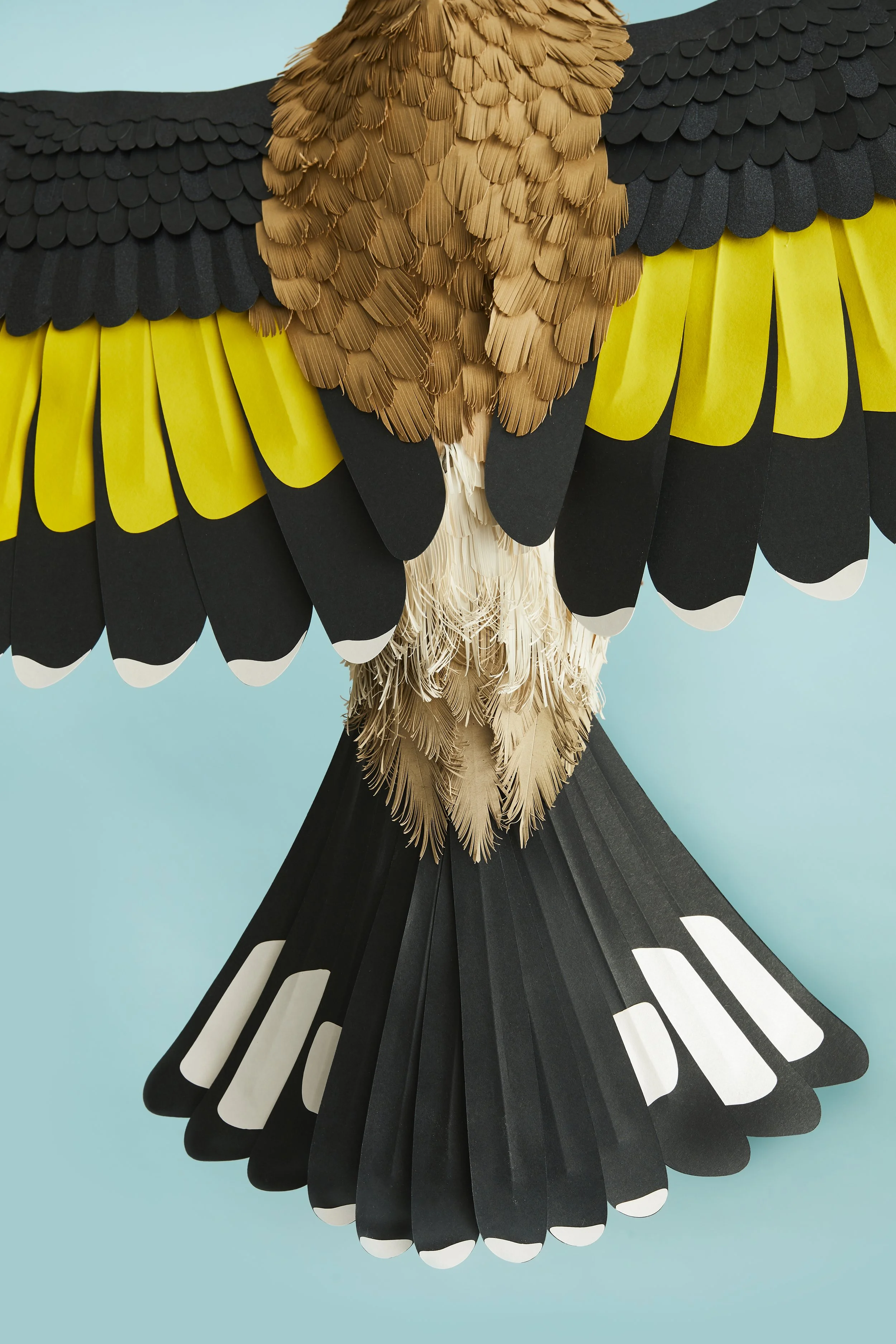 62-carta-and-wood-paper-artist.jpg