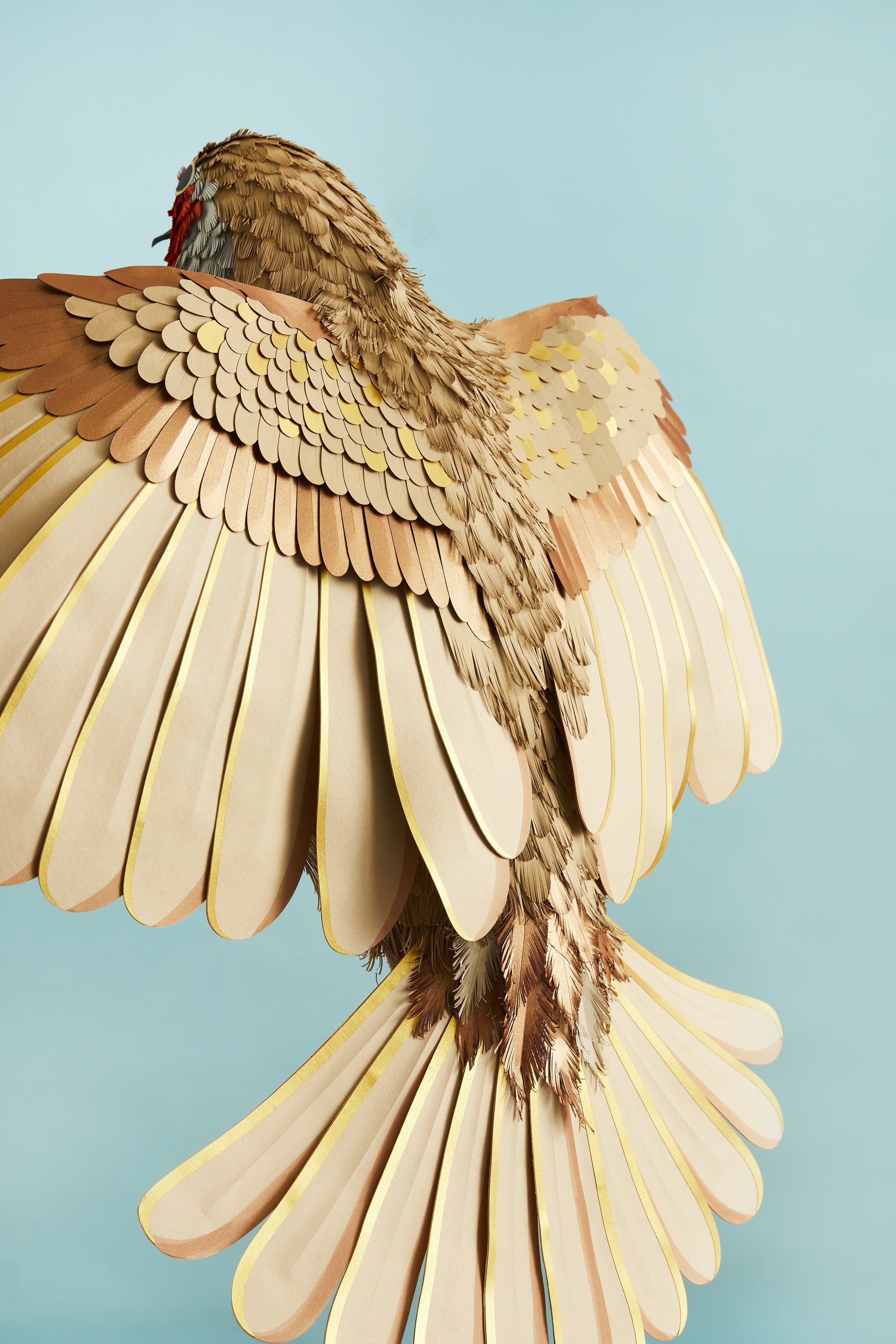64-carta-and-wood-paper-artist.jpg