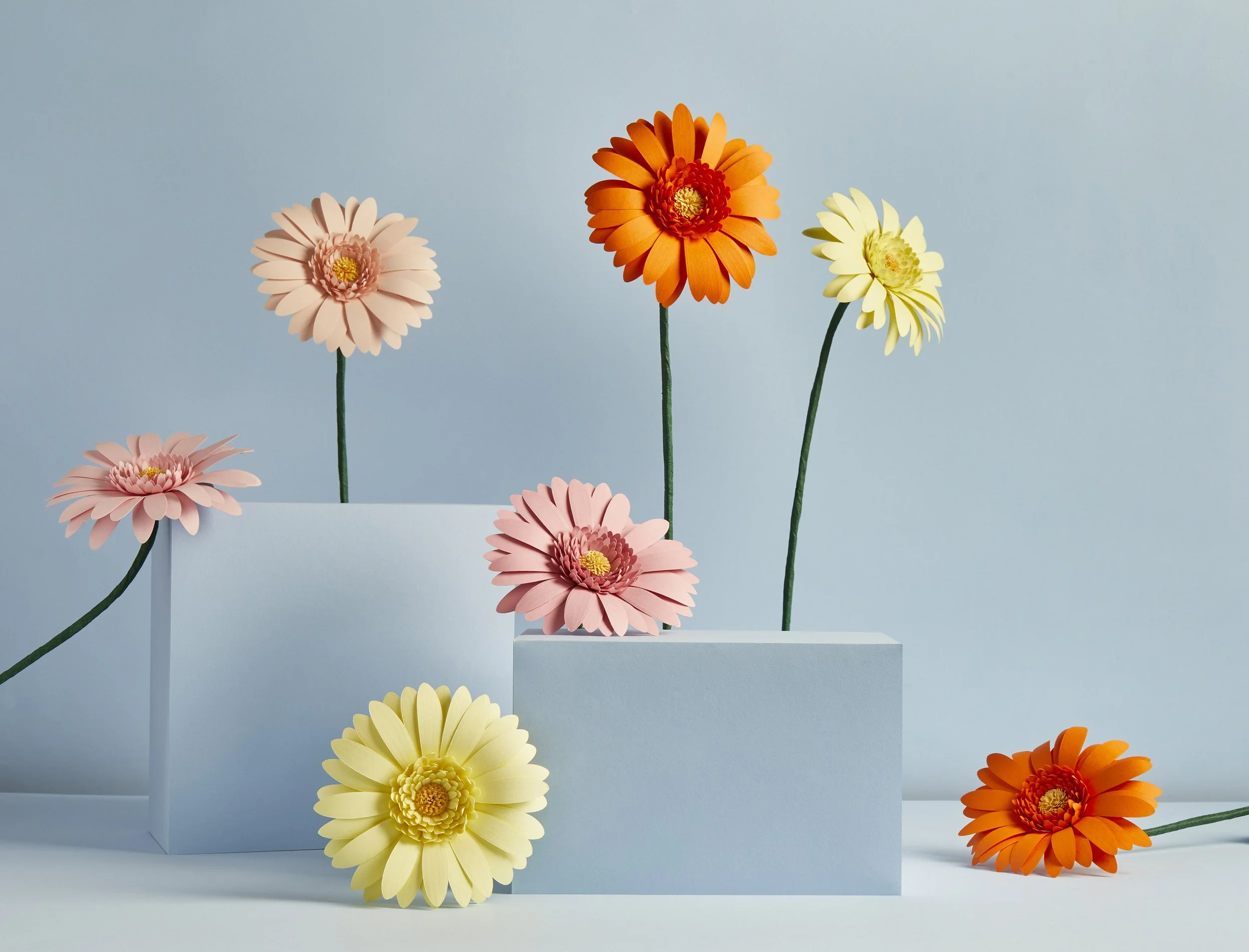 83-carta-and-wood-paper-artist.jpg