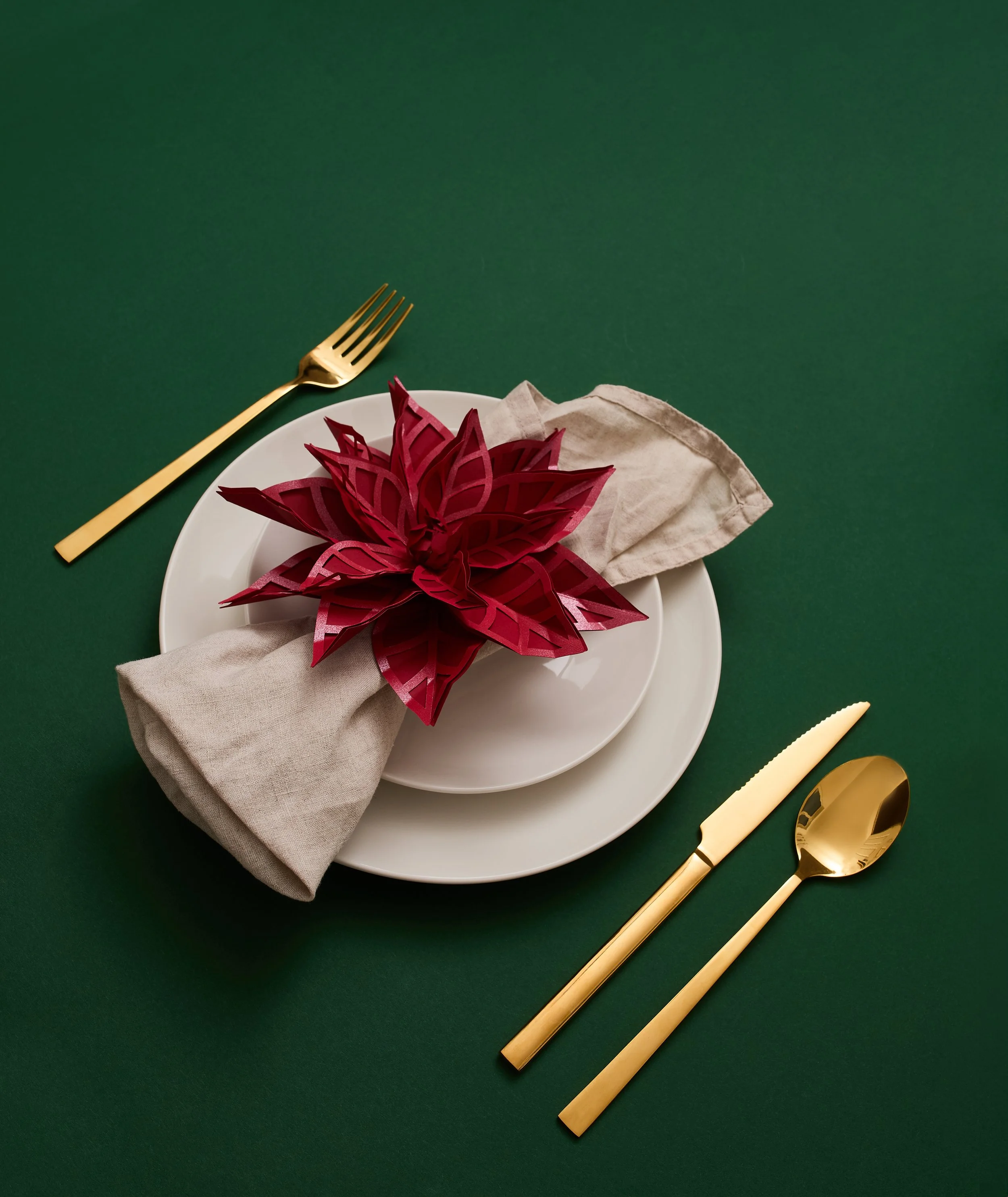 CARTA & WOOD-paper-poinsettias.jpg