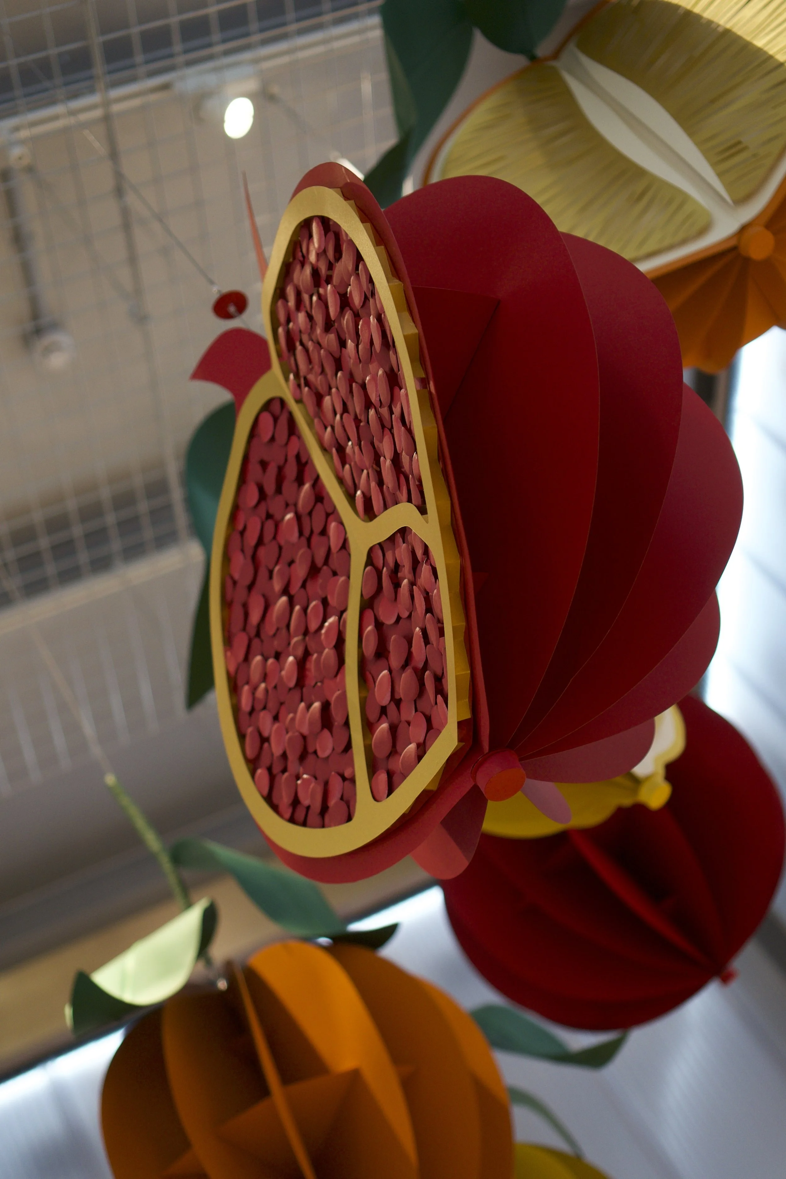 72-carta-and-wood-paper-artist.jpg