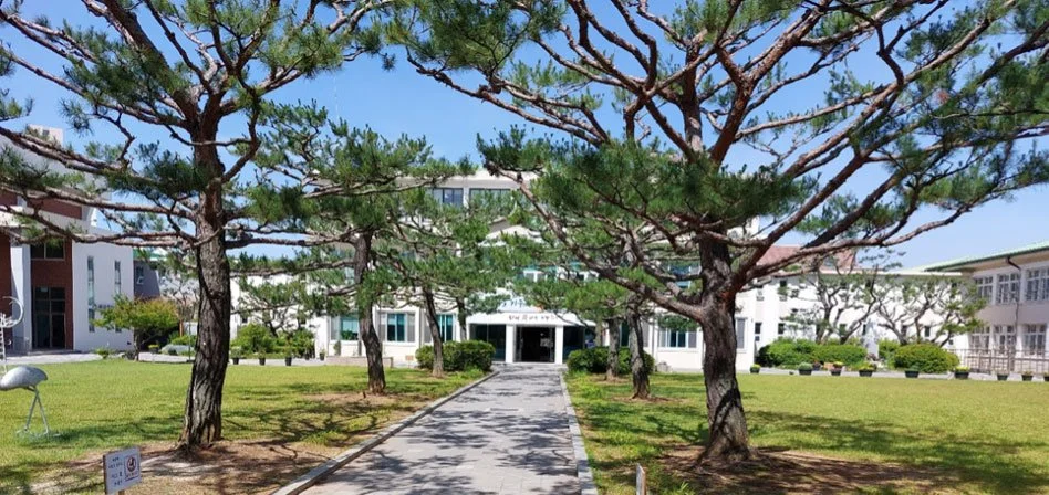 the entrance to a school building on a sunny day wirh green grass and trees on both sides of a paved walkway.