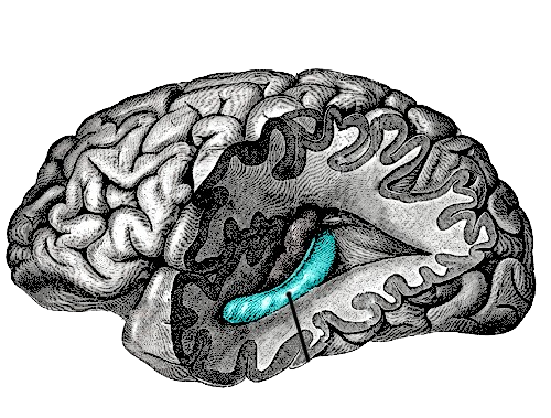 More about our research