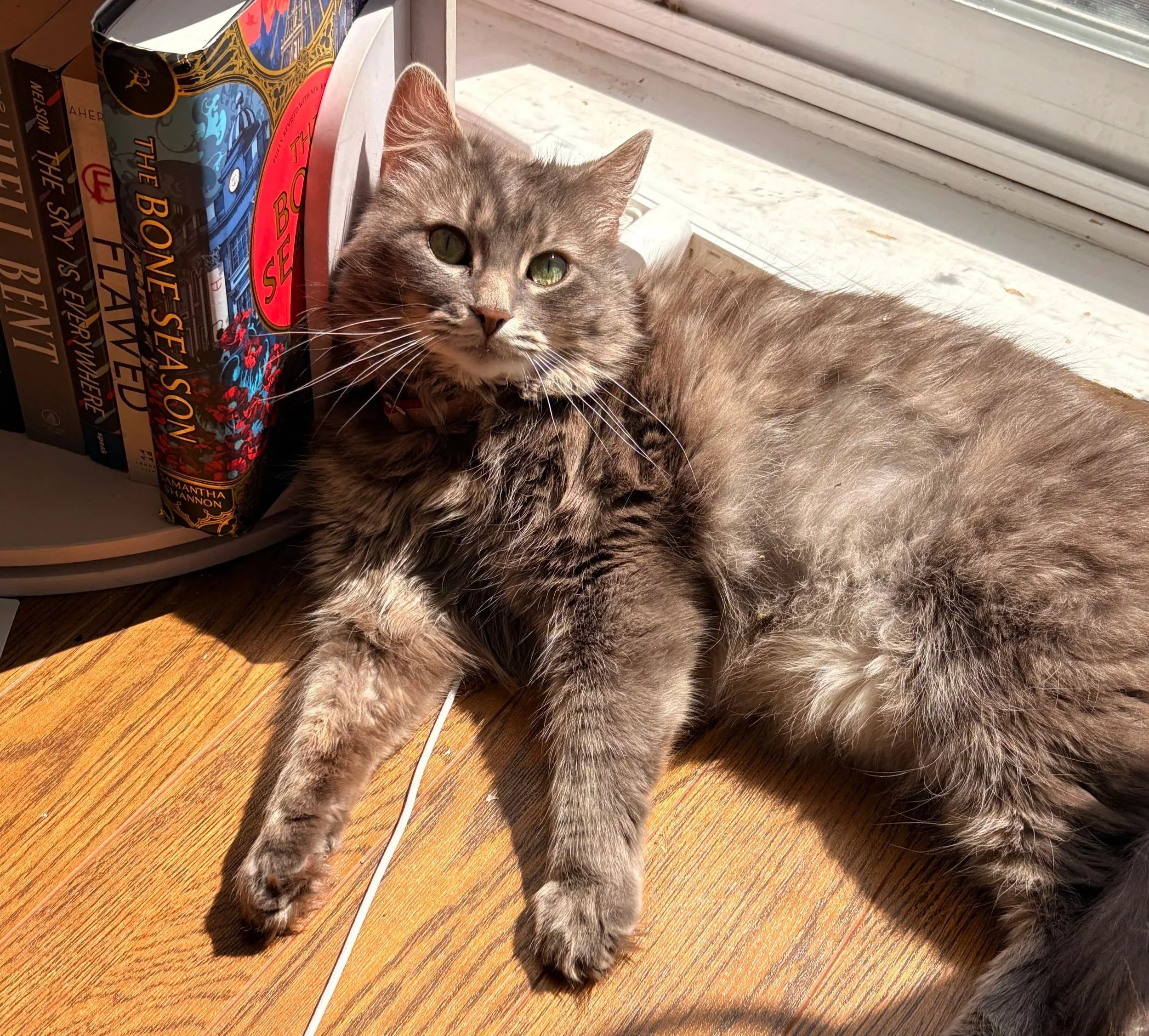 Athena