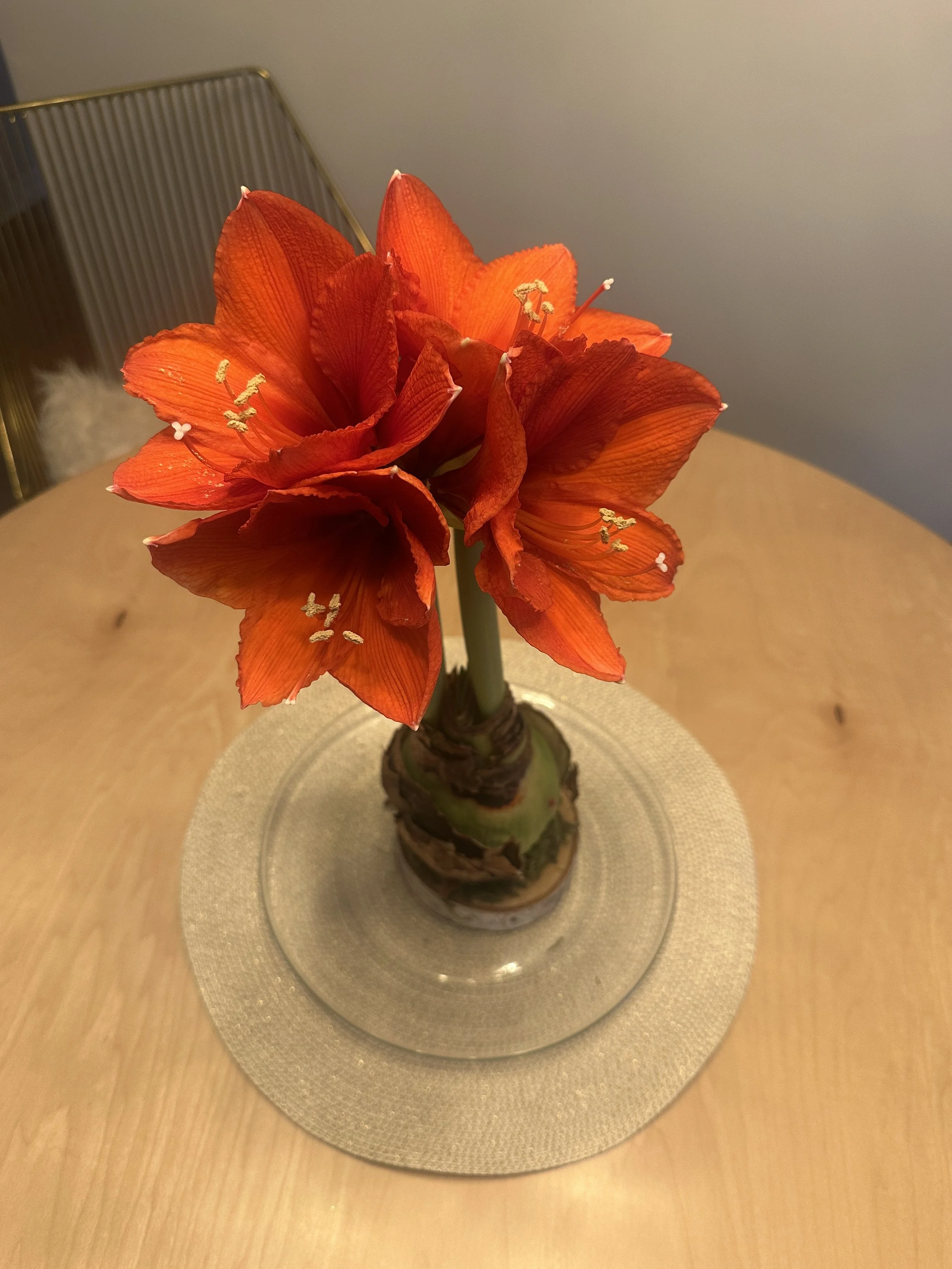 What happens when we let in the light?