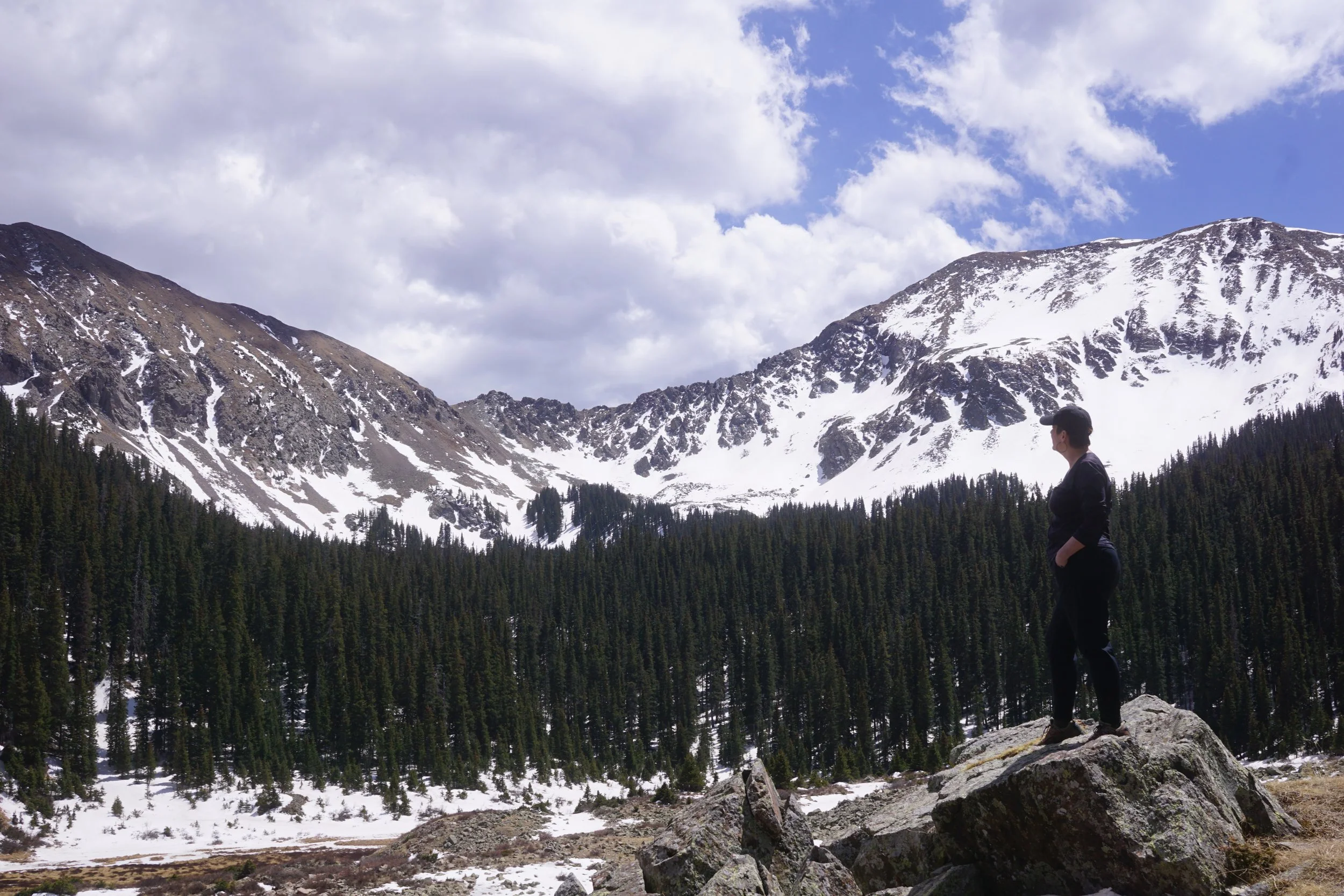 A person standing on a large rock in a mountainous landscape with snow-covered peaks, dense evergreen trees, and a partly cloudy sky.