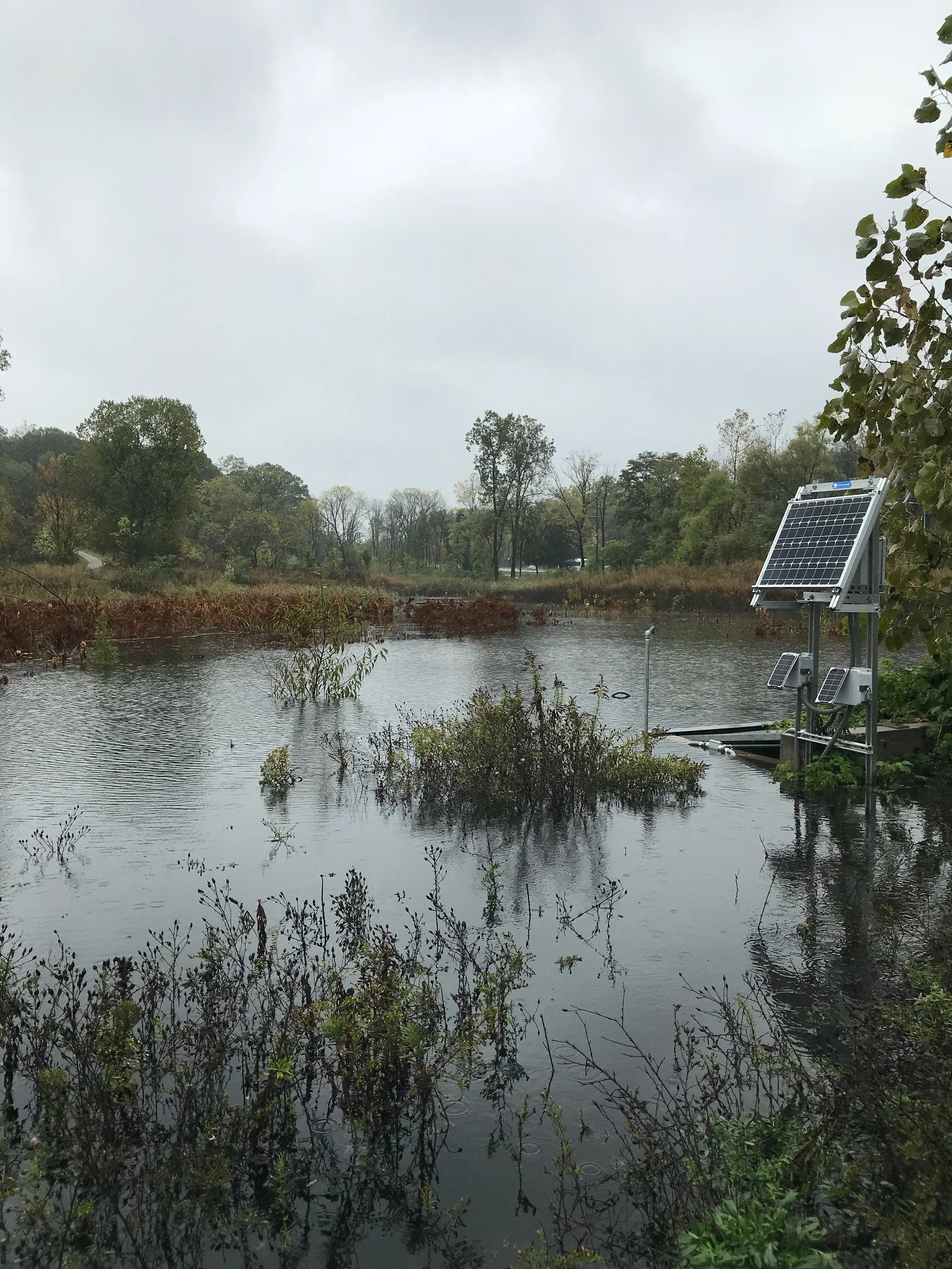 Image uploaded from iOS.jpg