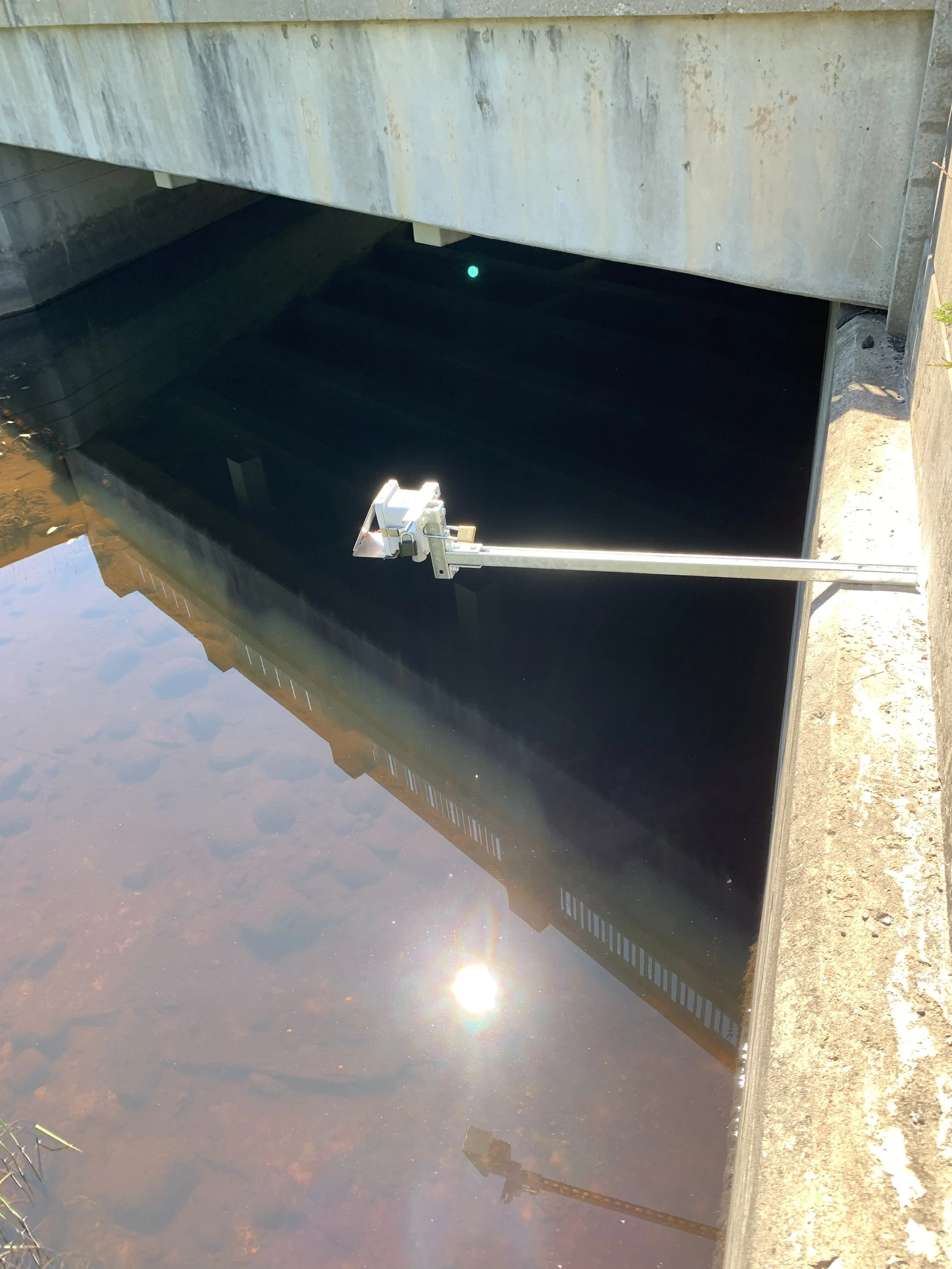 Copy of MDOT8955.jpeg