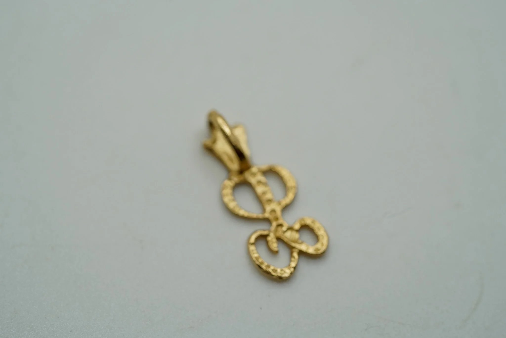 DSC02111.jpg