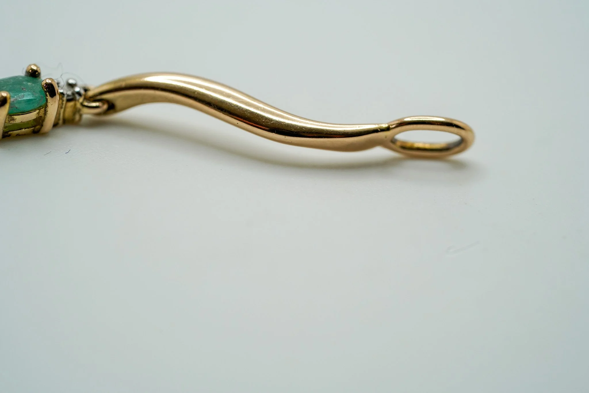DSC01204.jpg