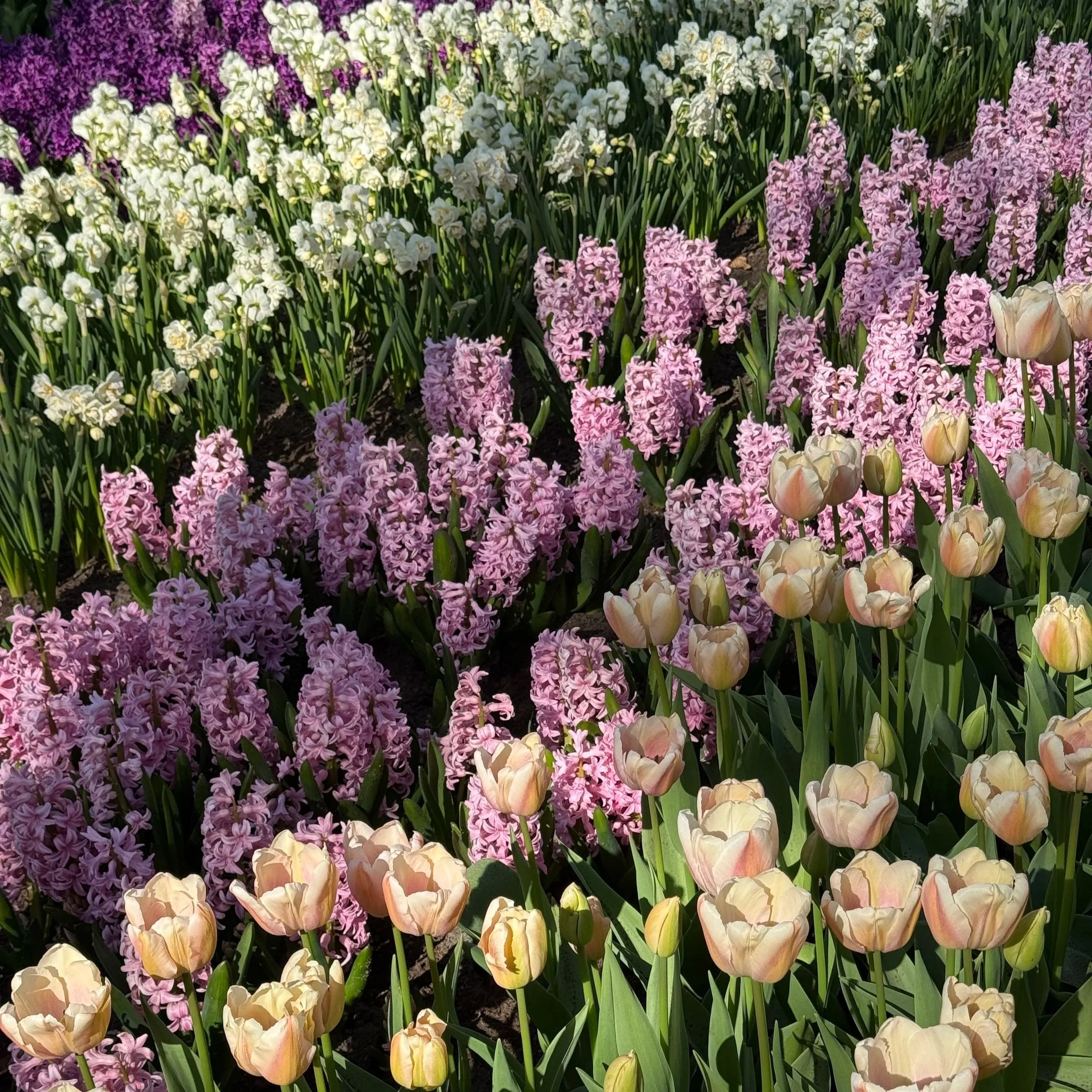 100+ Spring Content Ideas for Every Niche