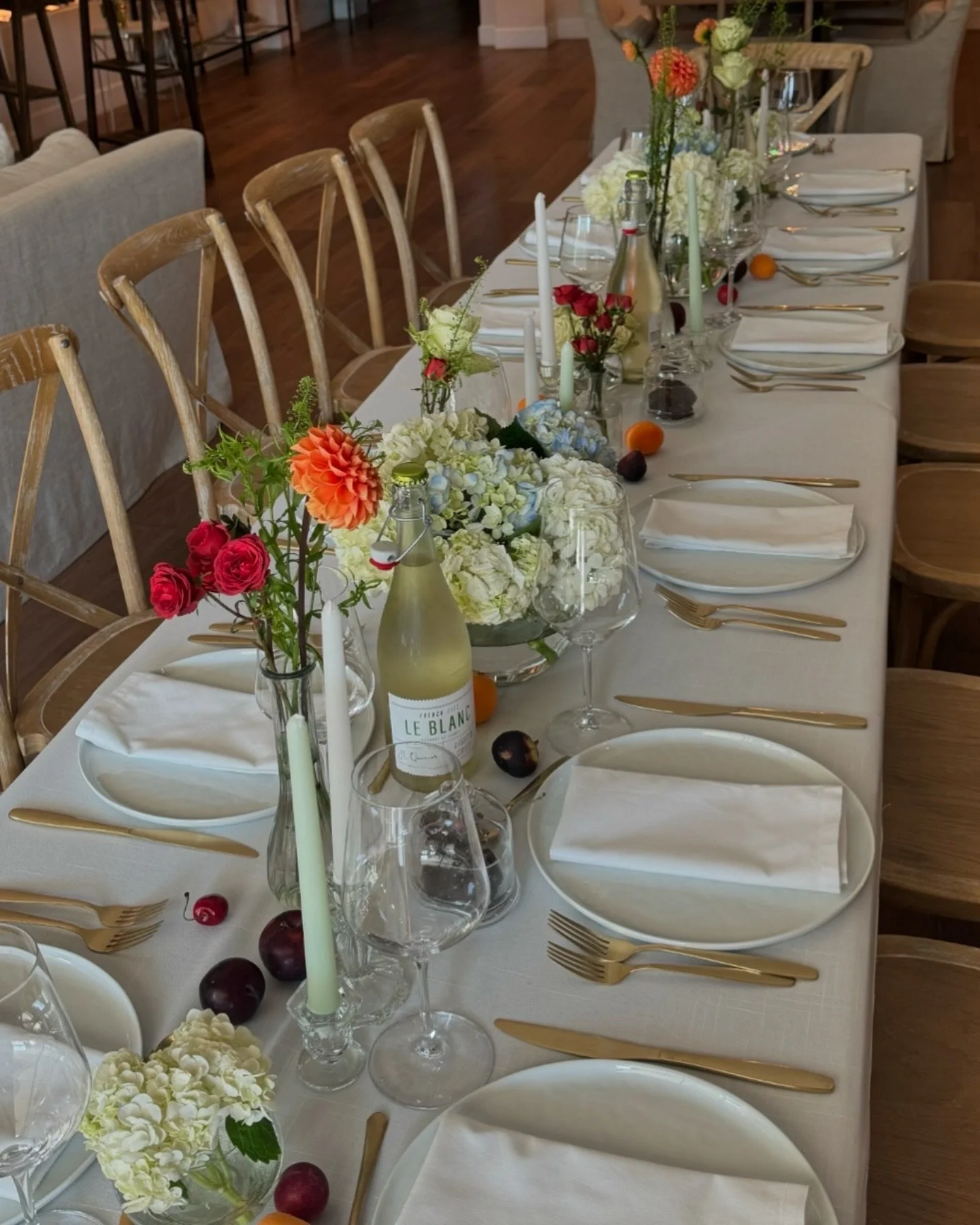 elisa-moreno-dupe (1).jpeg