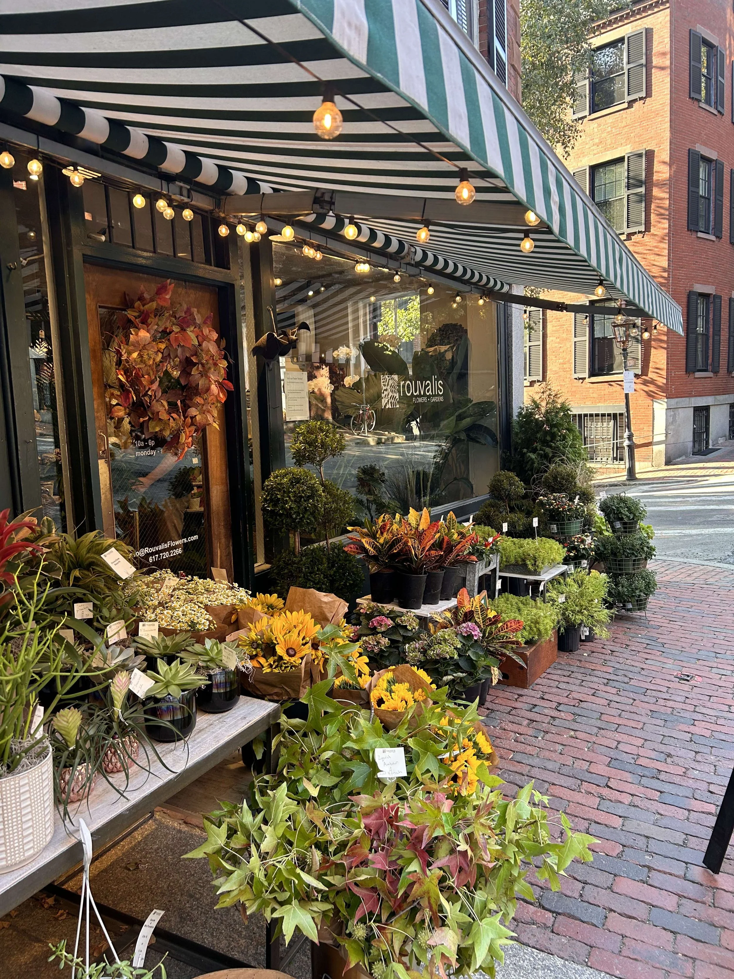 hailey-holdahl -dupe.jpg