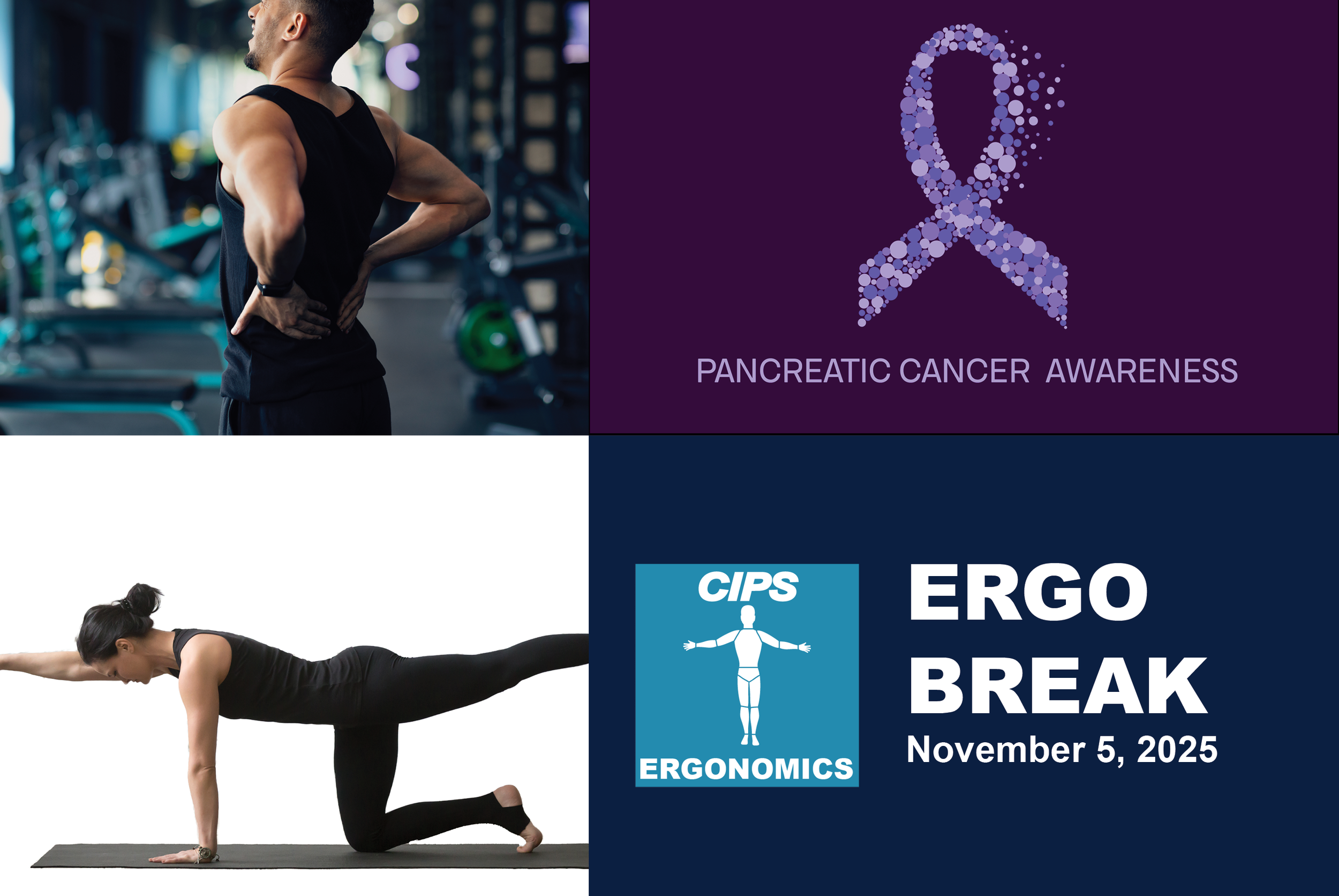 Risk of Twisting with the Low Back, Pancreatic Cancer Awareness, Rotary Stability