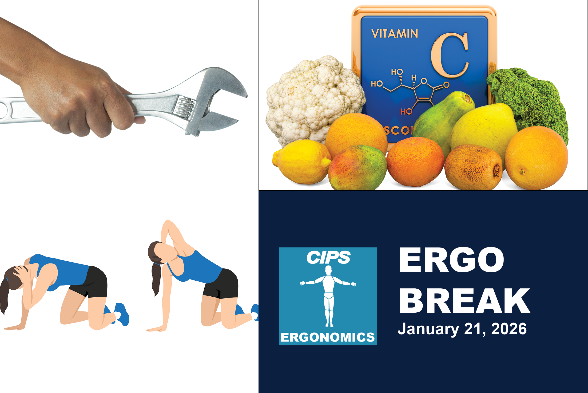 Rotating Job Task, Vitamin C, Thoracic Stretching