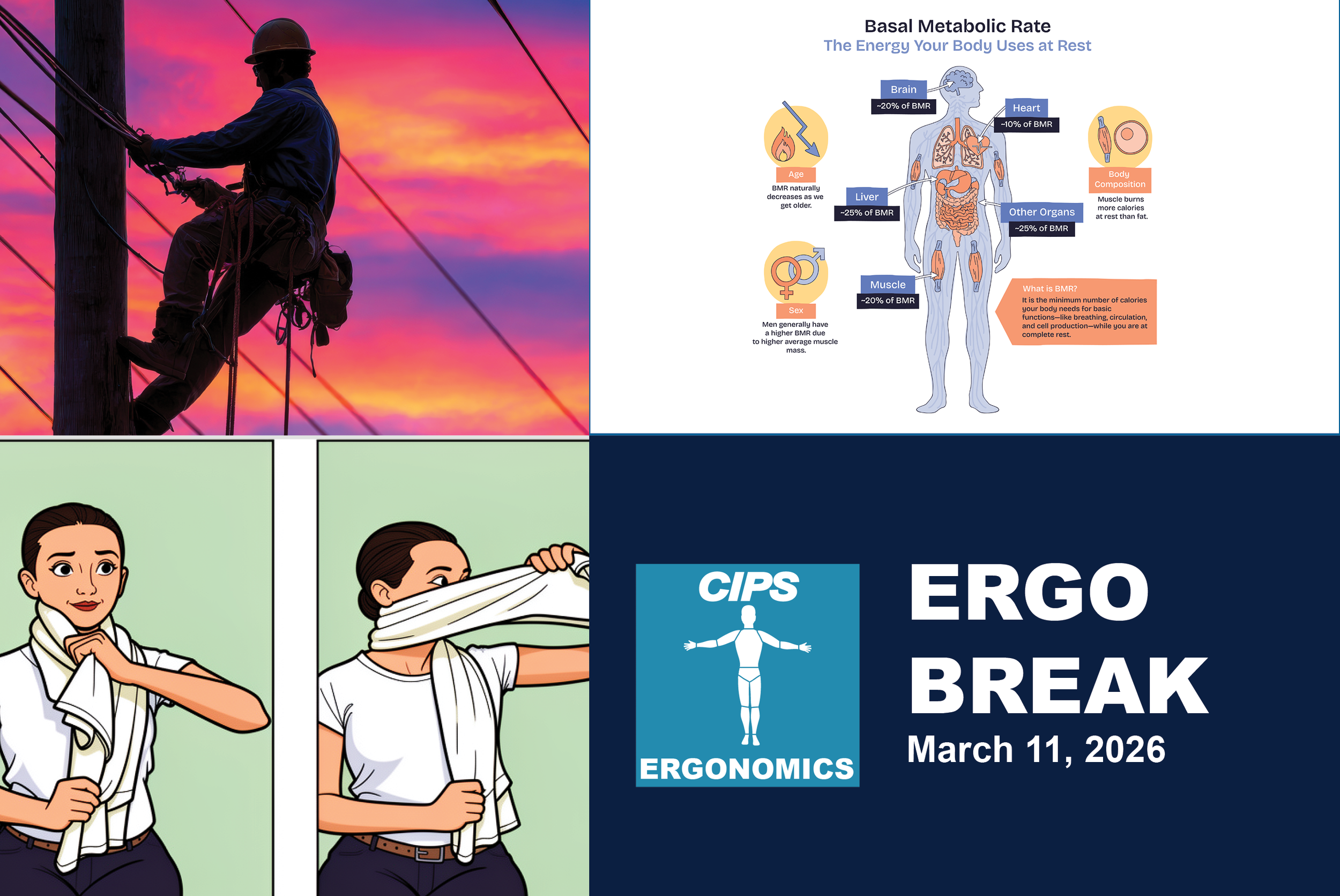 Neck Range of Motion, Strap Assisted Neck Rotation, Basal Metabolic Rate