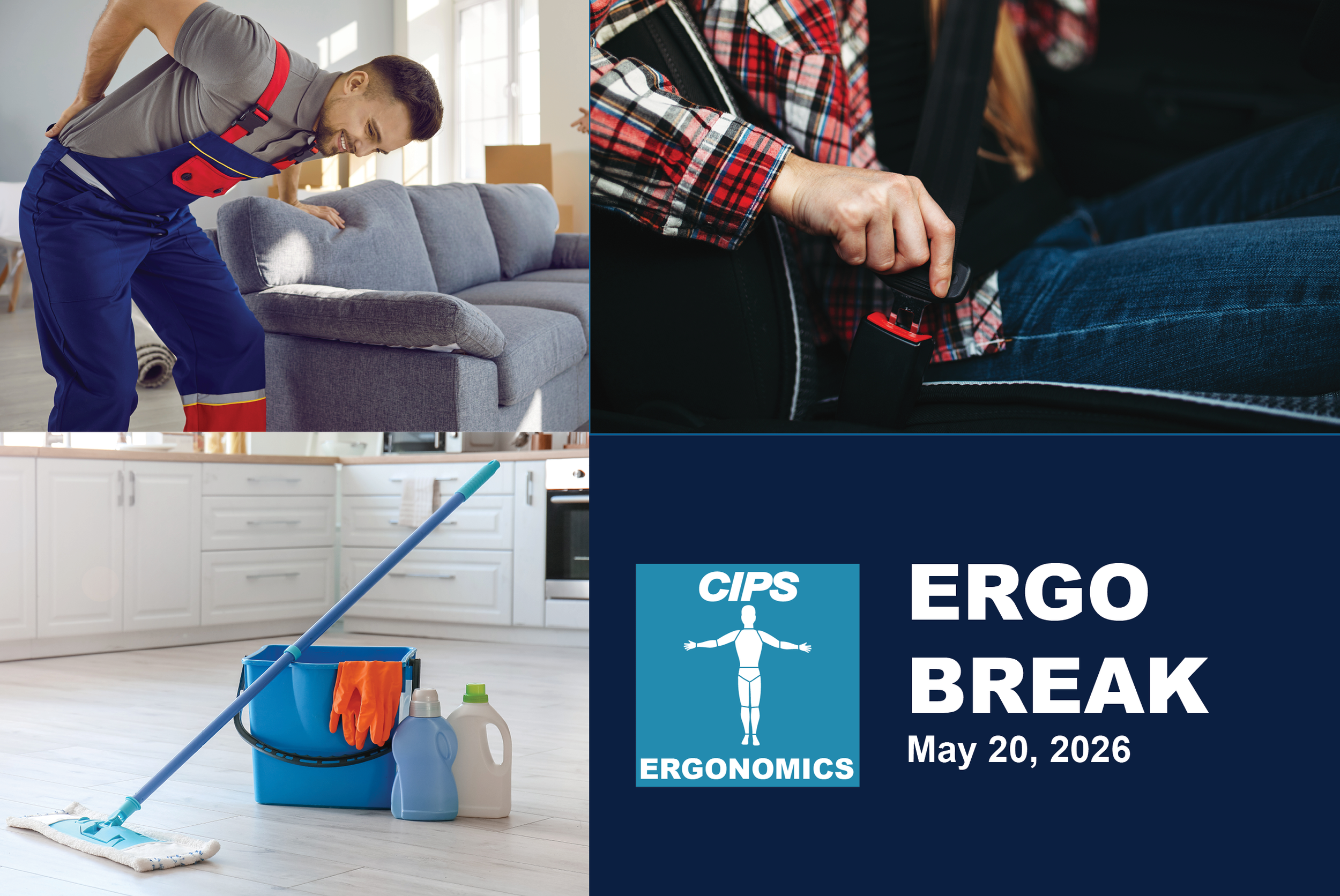 Risks of Stooping, Seat Belt Safety, Chores as Exercise