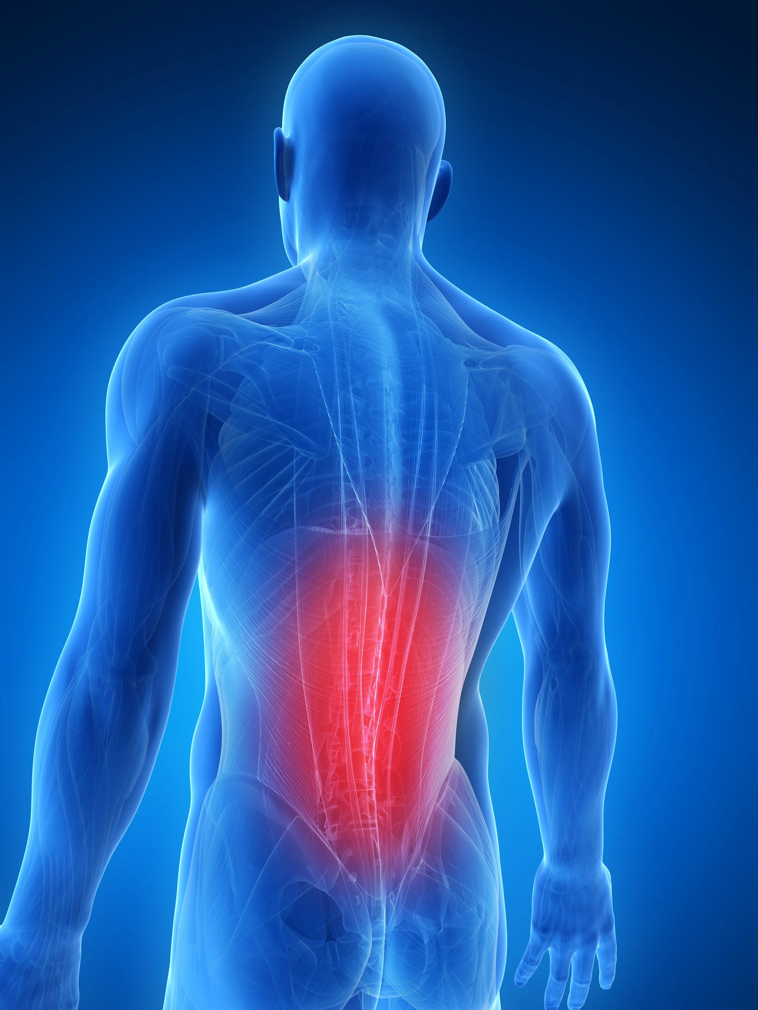 Stretch and Strengthen: Low Back