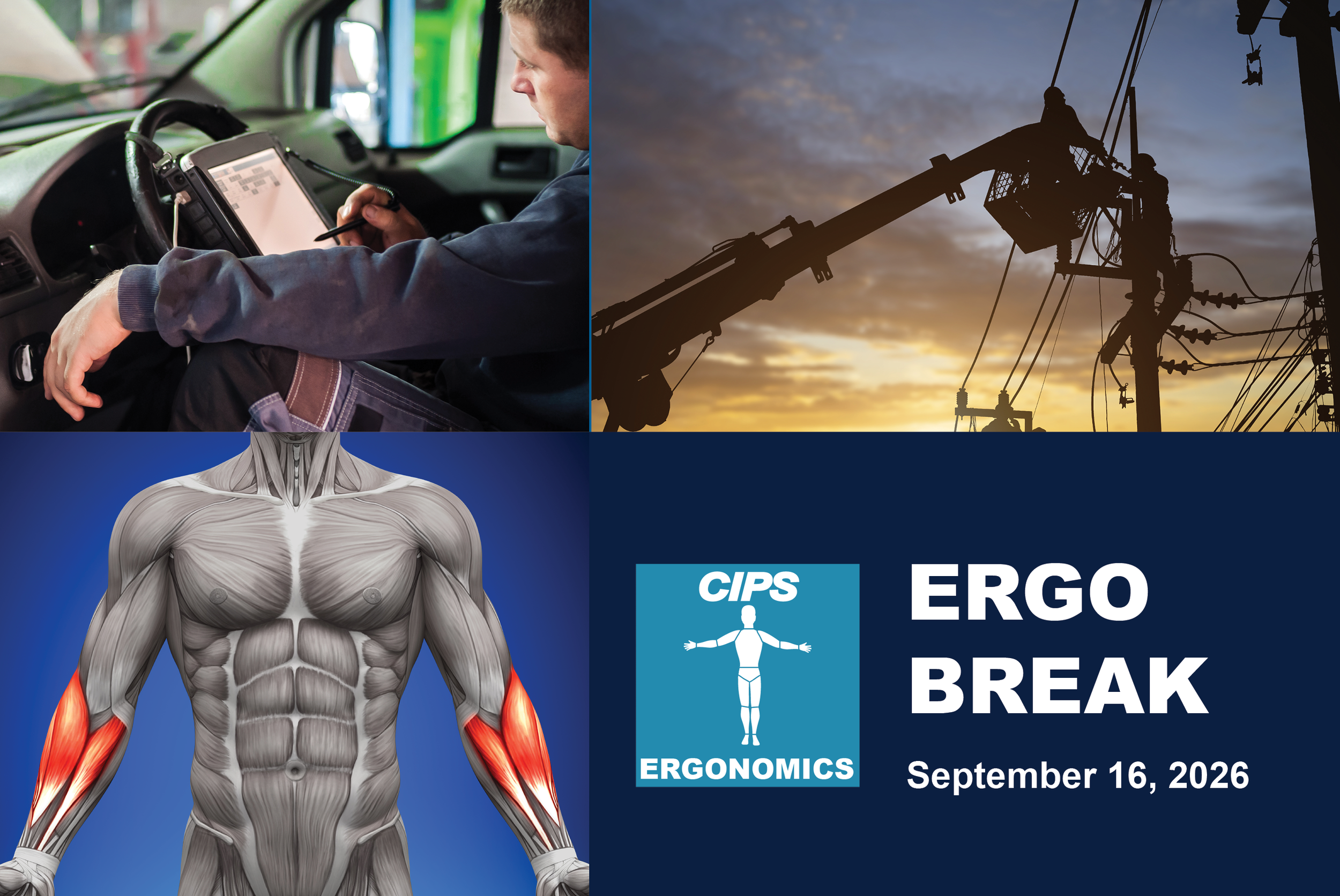 Mirror and Seat Ergonomics, Circadian Rhythm &amp; Light Hygiene, Weight Wrist Curls