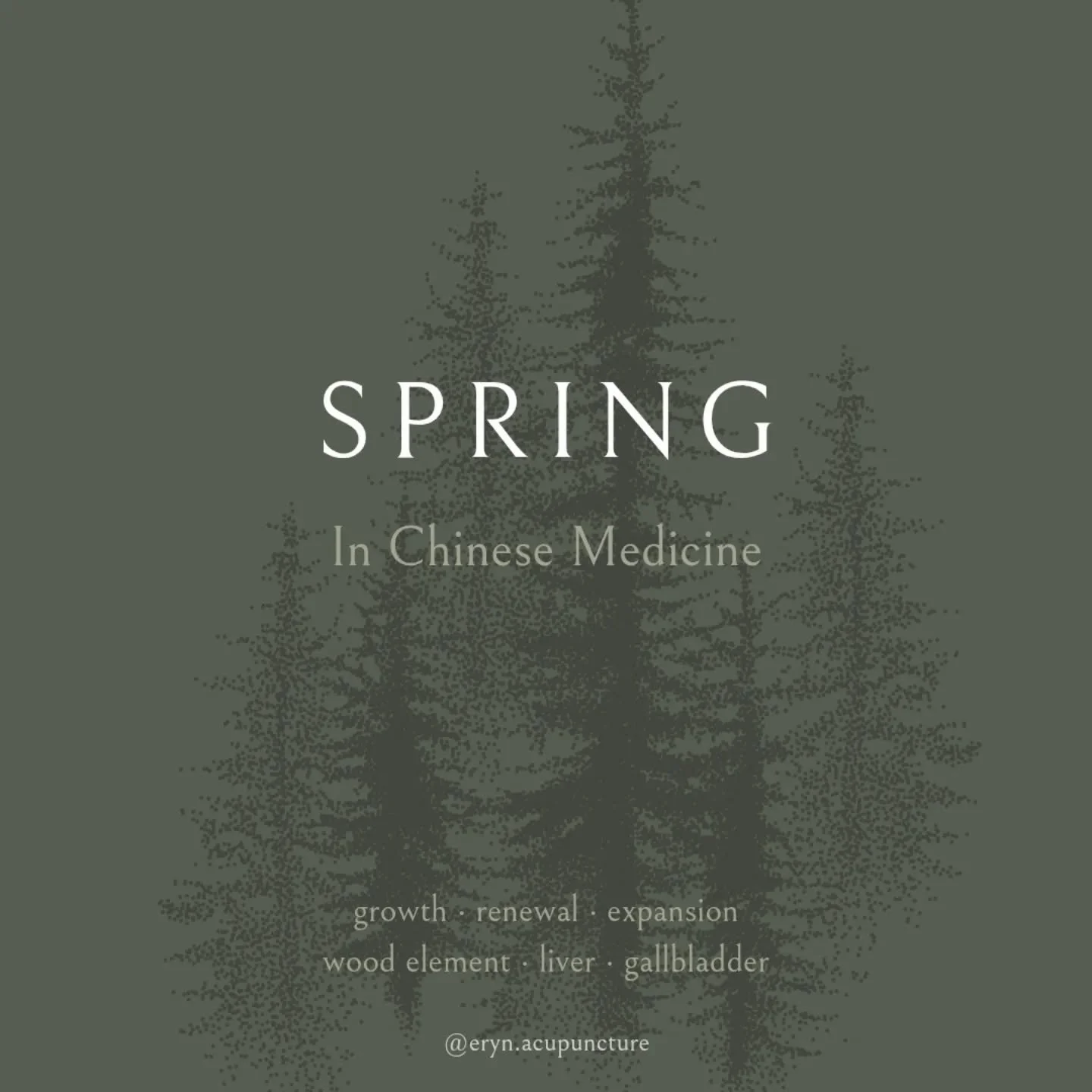 S P R I N G  equinox

Spring is a time of renewal and growth. 🌱

Traditional Chinese Medicine (TCM), it is associated with the Wood element and the Liver and Gallbladder organs. This season is a perfect time to focus on cleansing and nourishing thes