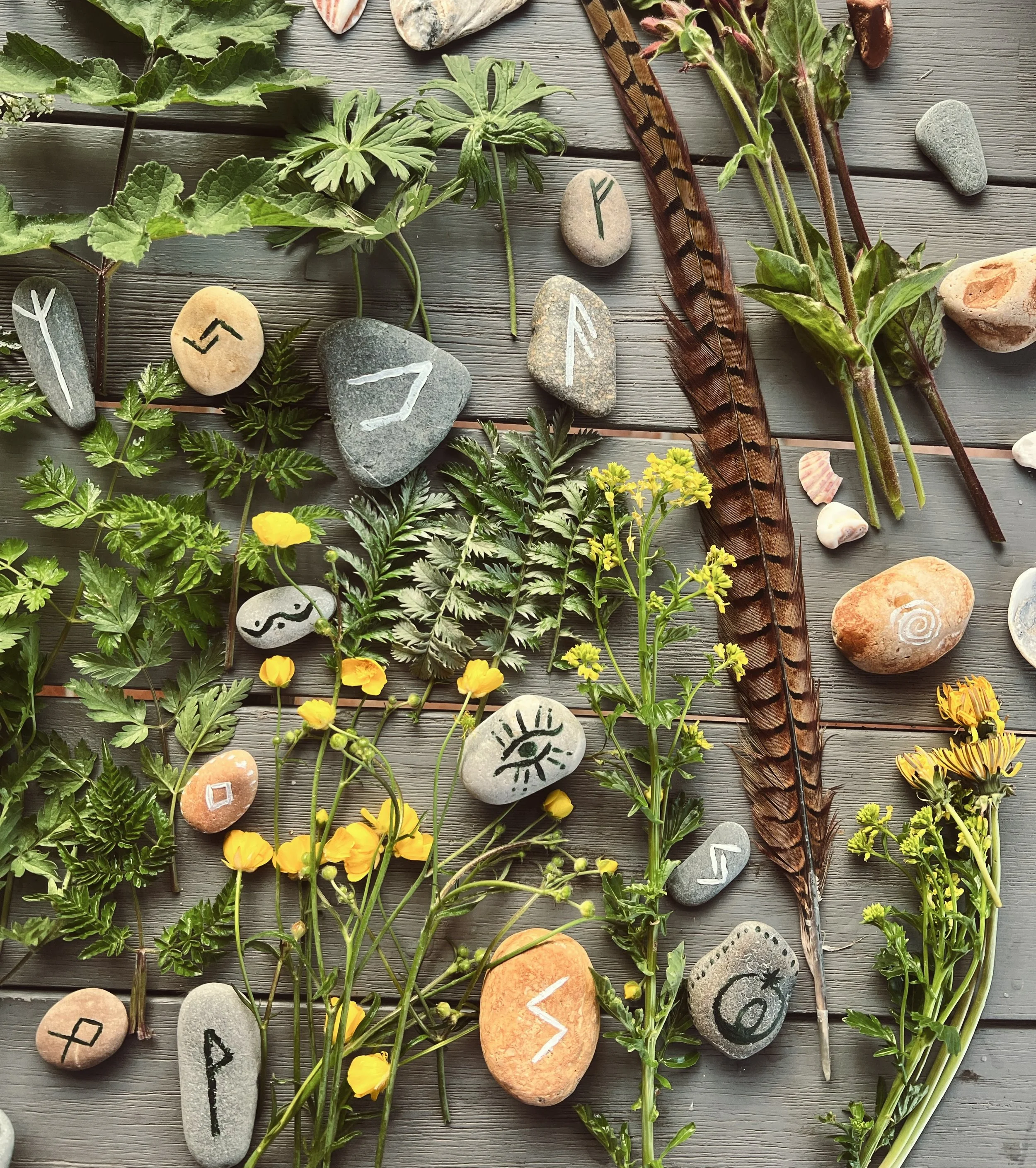 There&rsquo;s a quote I love by Eckhart Tolle: 
&ldquo;You are the universe expressing itself as human, just for a little while.&rdquo;

Serving as a soft reminder that we are not separate from nature, but part of it. 

This weekend @miloosborn &amp;