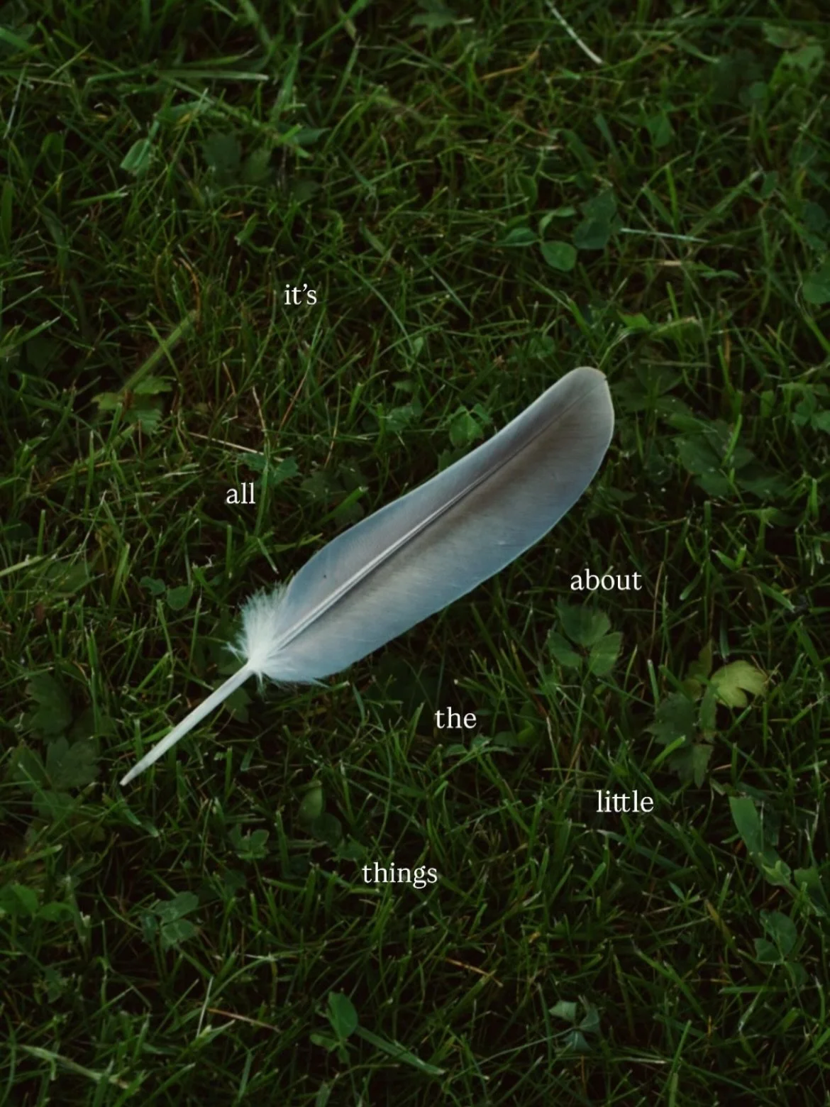 It&rsquo;s all about the little things.

Once we begin to notice and bring our attention to nature, we cultivate presence. We become aware of light, movement, texture and the small moments that often go unseen.

Nature invites us to slow down, pay at