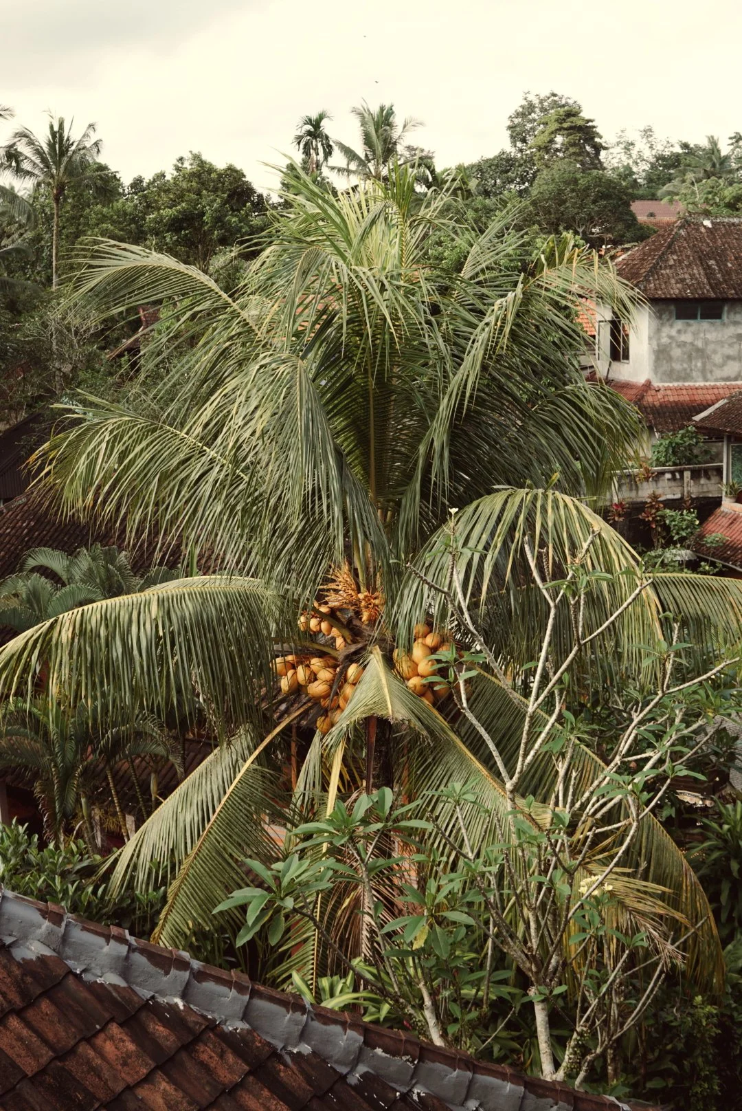 RNI-Films-IMG-DAE2743D-DA93-4139-9F86-9D37AAFF00AA 2.JPG