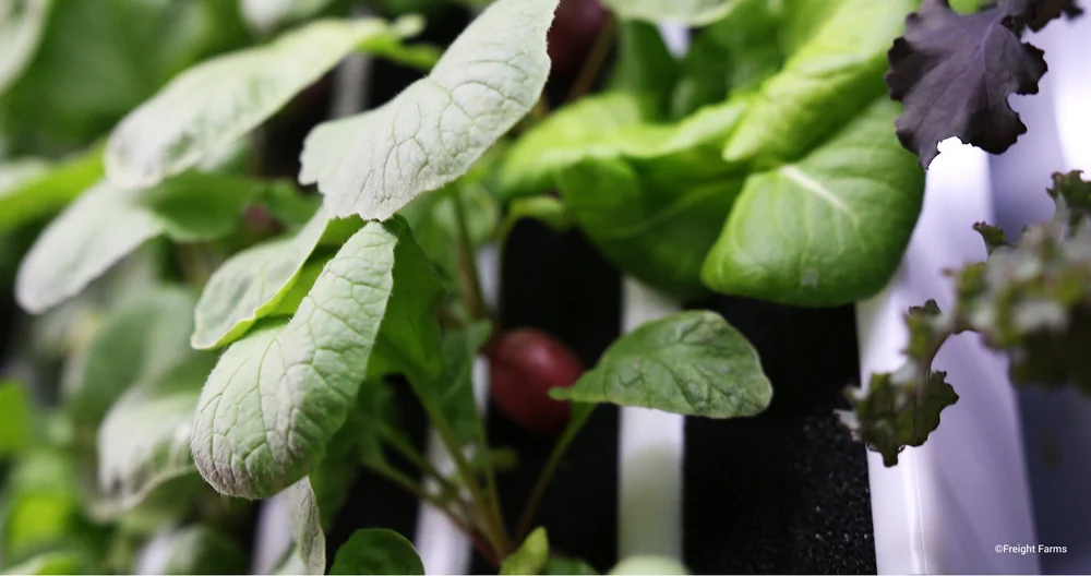 Products — farmaleaf