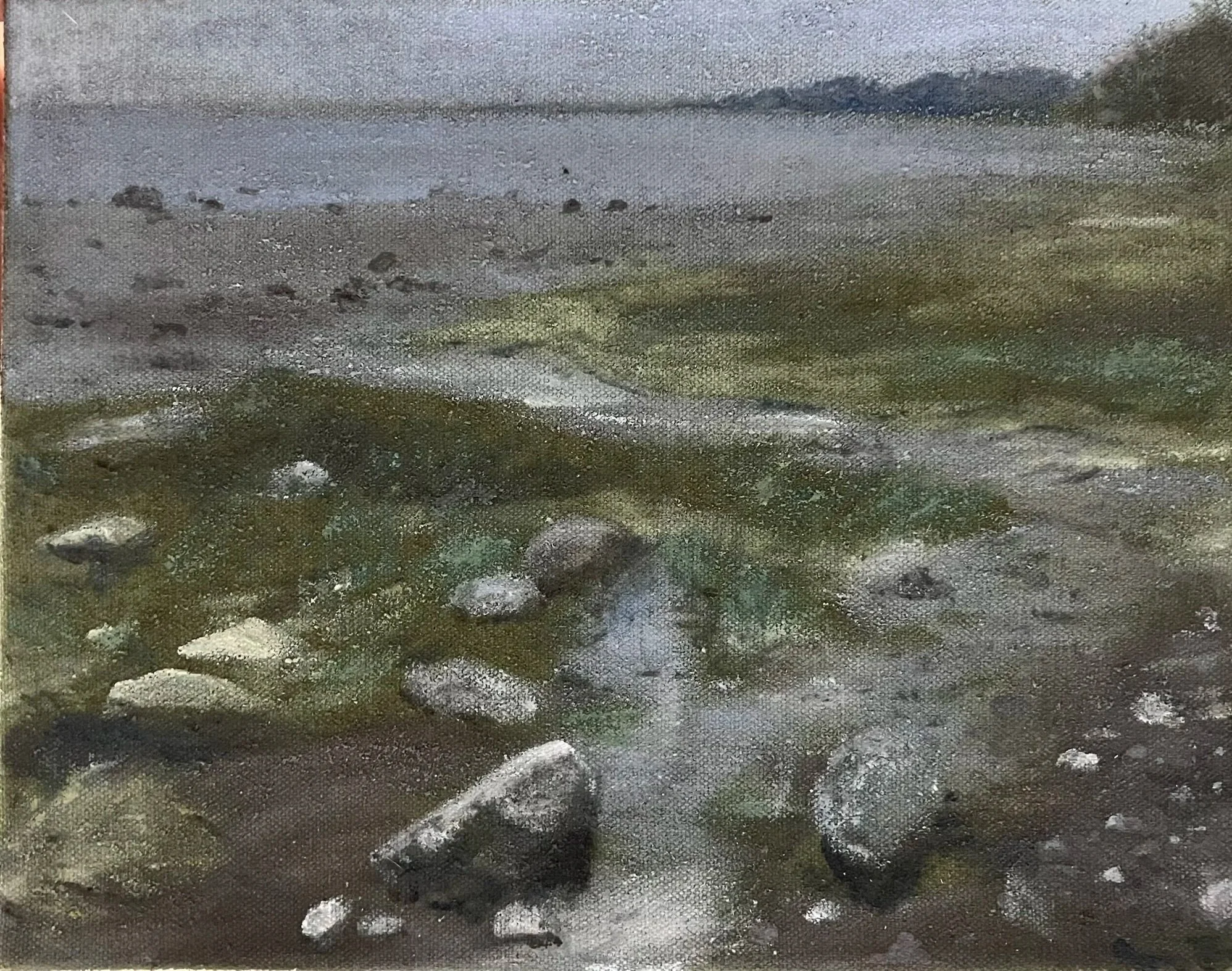 “Bog Land” 8 x 10 Oil on Canvas