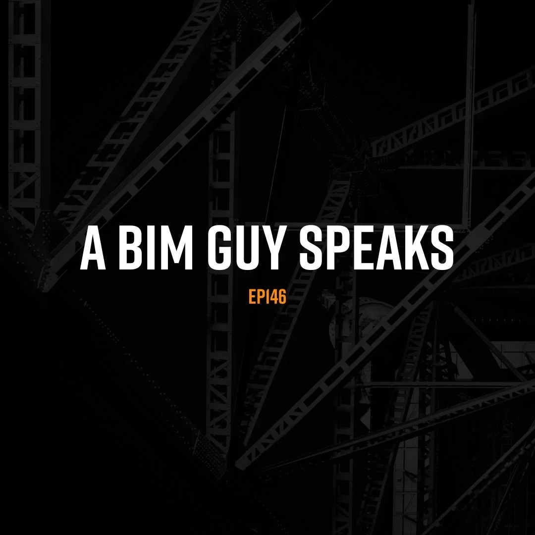 A Bim Guy Speaks