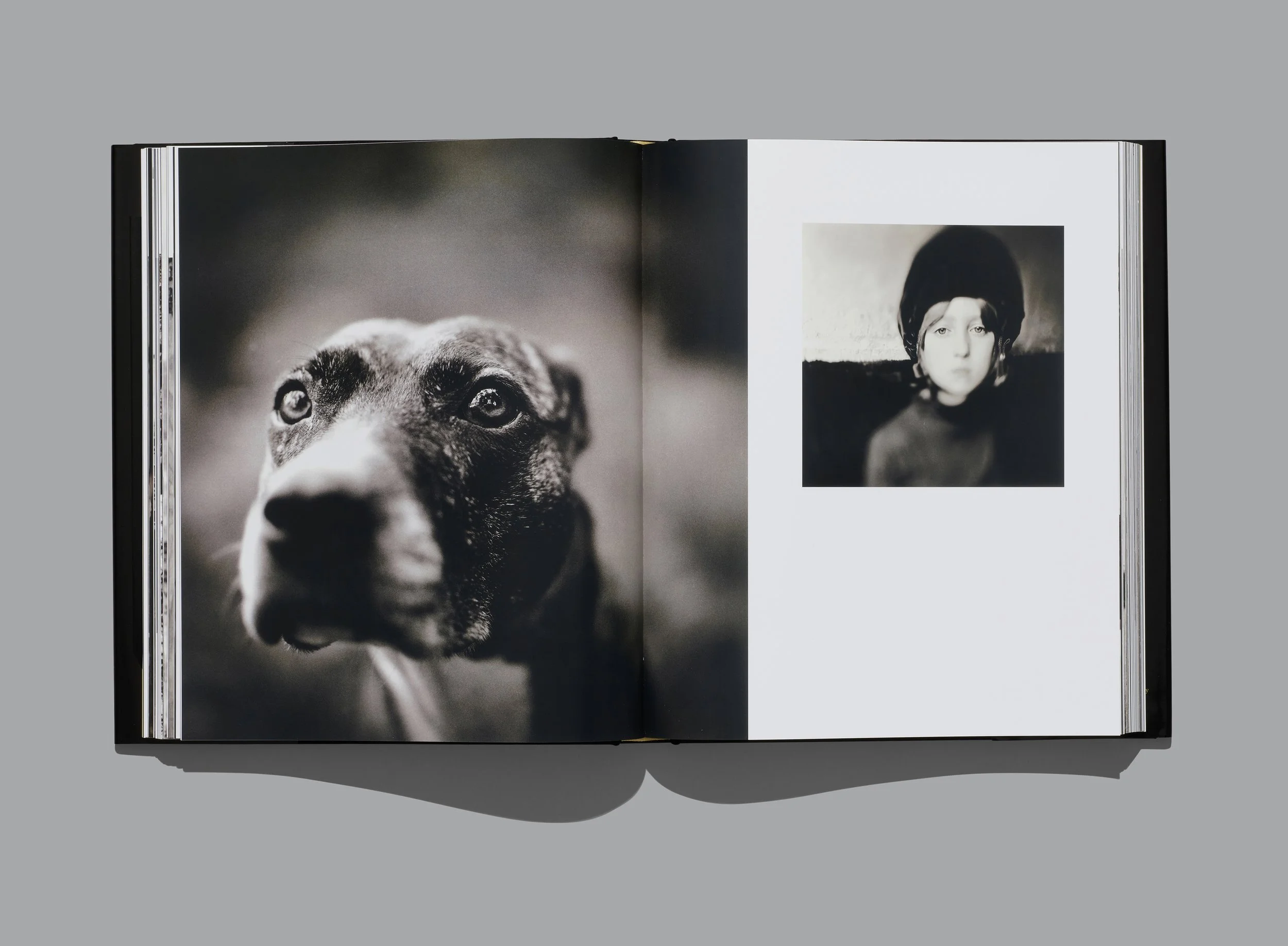 Pentagram_Carter_049 50(small).jpg