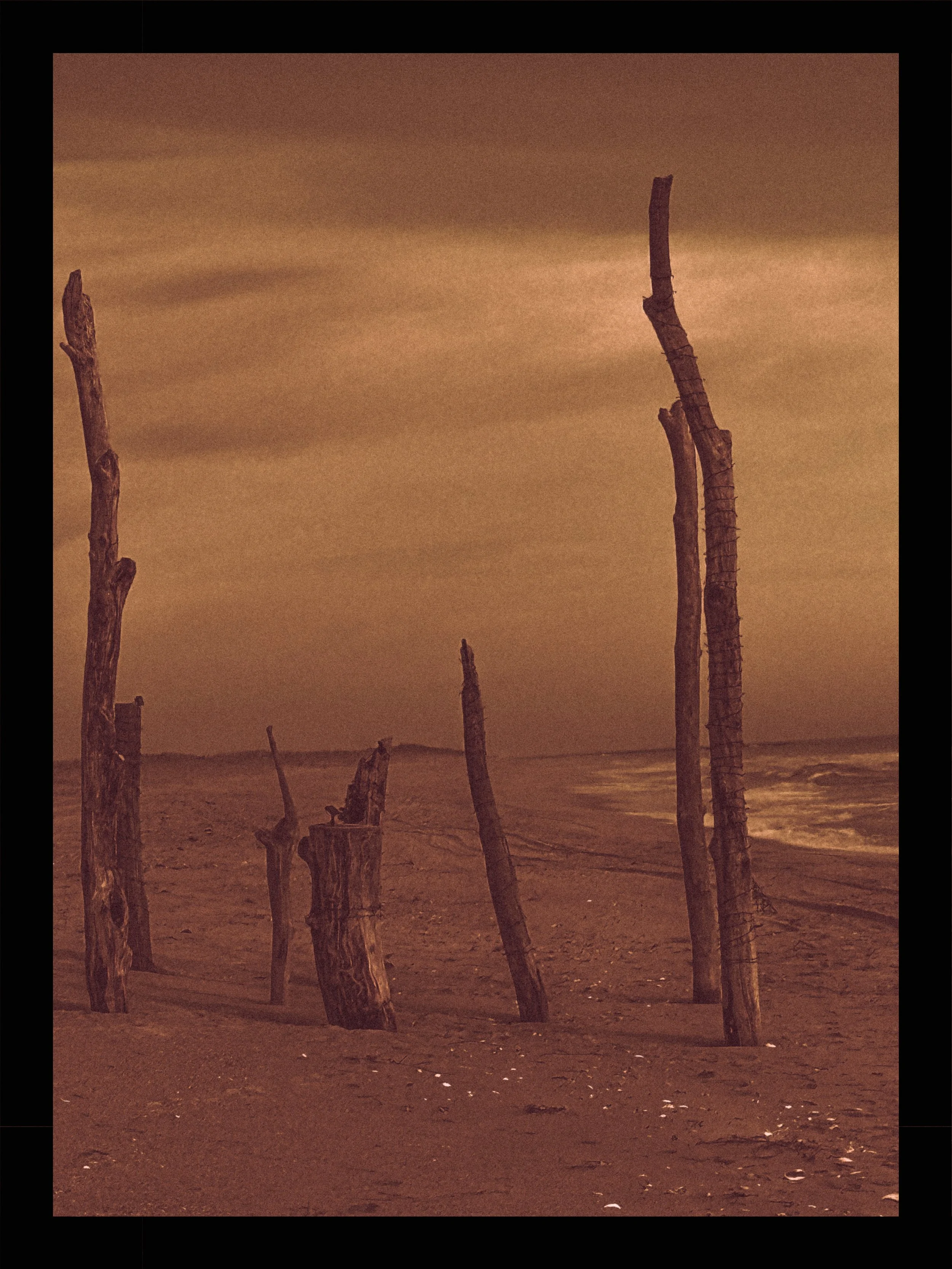 Off in the distance 16” X 20” (SOLD)