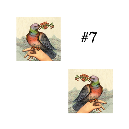 7.png