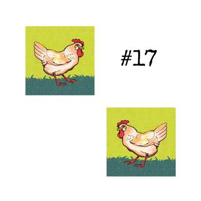17.png