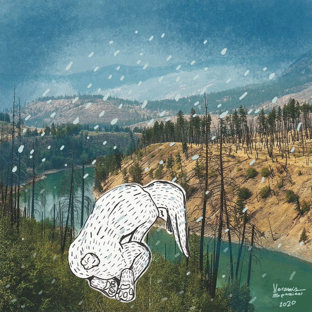art-collage-bunny-feelings-veramis-art-design.jpg