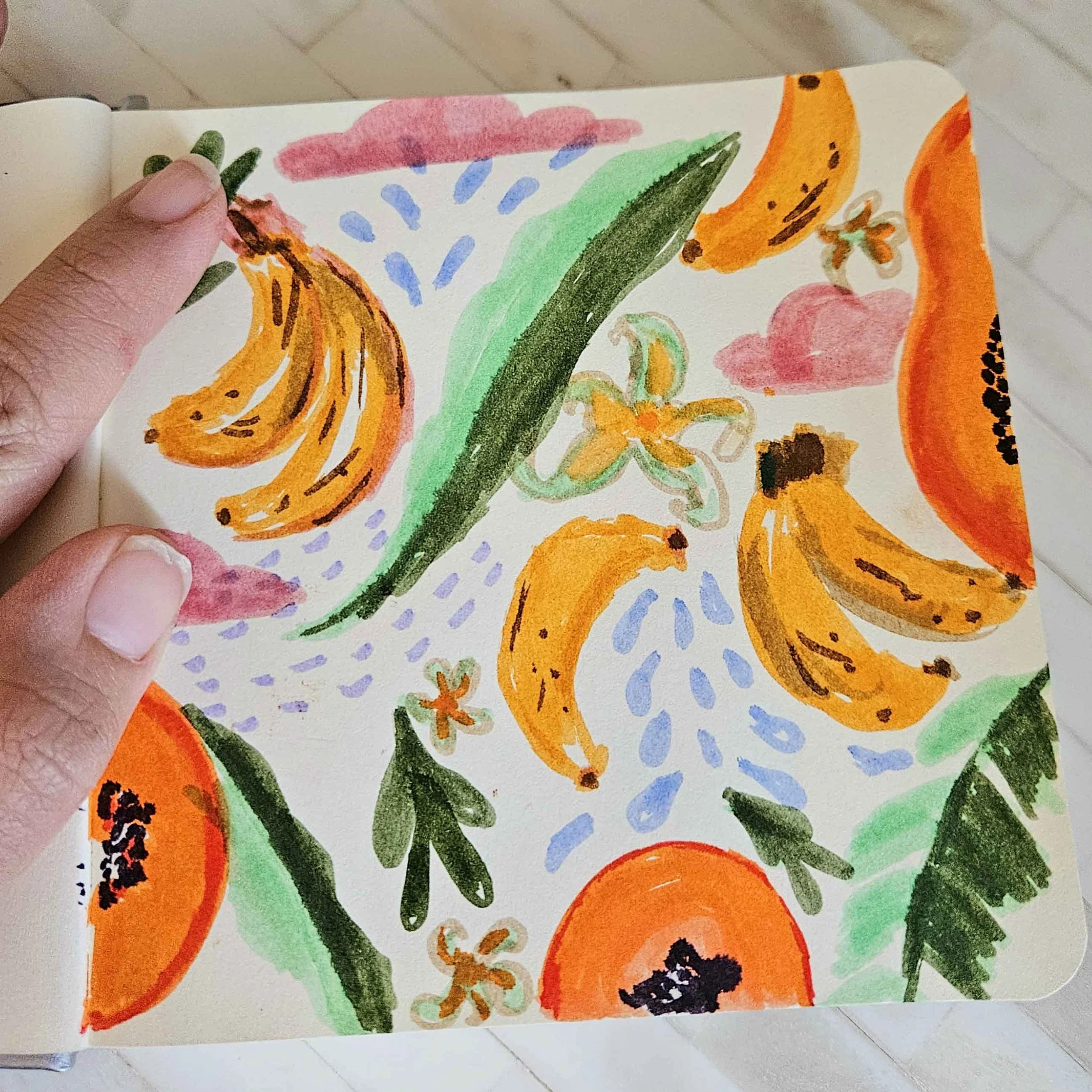sketchbook-banana-papaya-veramis-.jpg