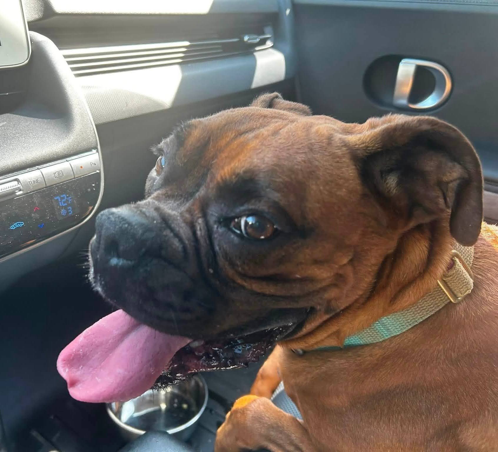 Lucy, Age 2