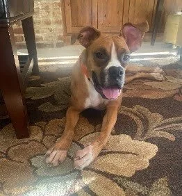 Gloria, Age 2