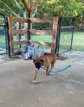 Frankie, Age 2