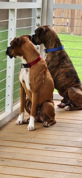 Holly and Burt, Age 3 