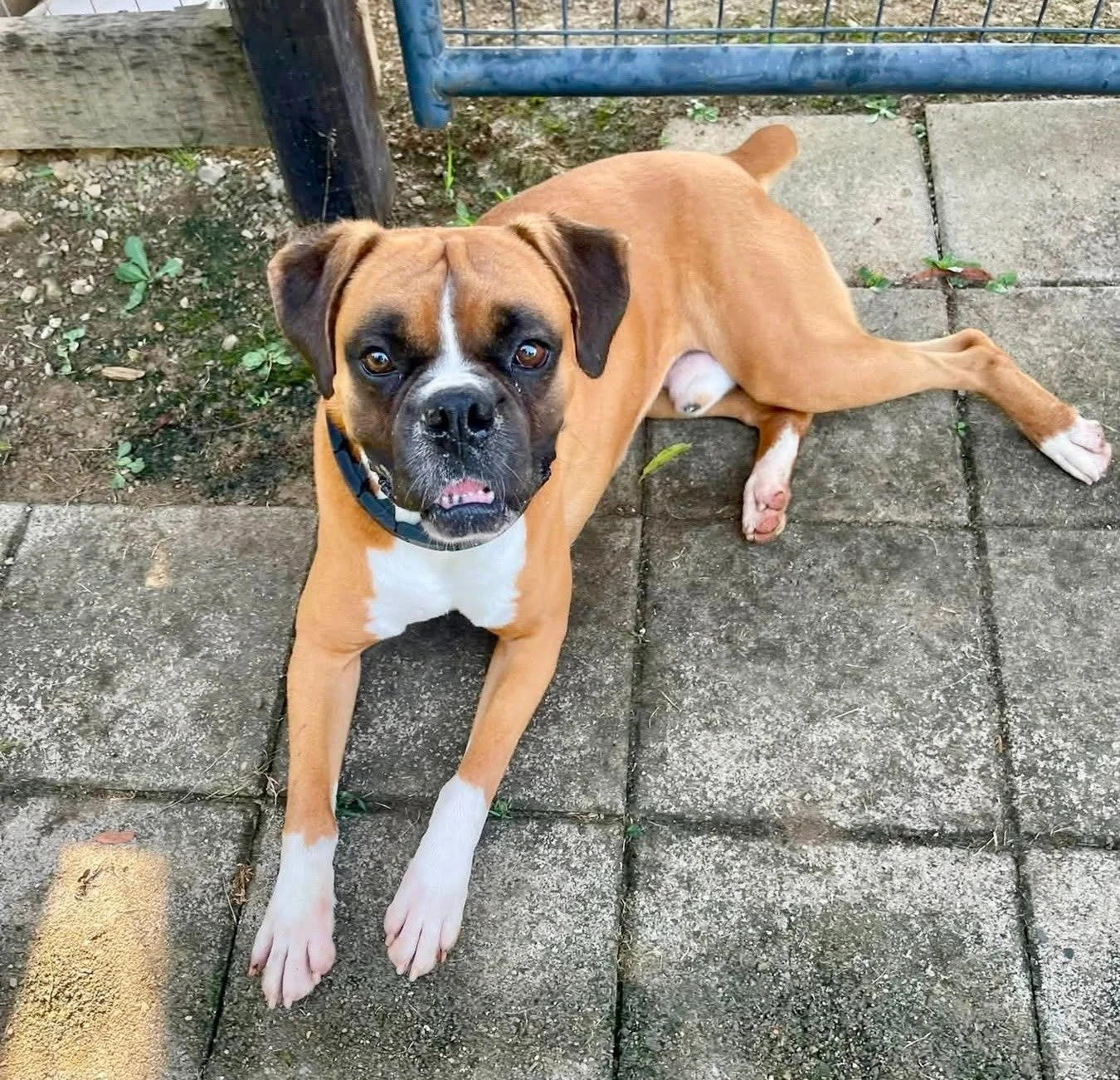 Rocky, Age 