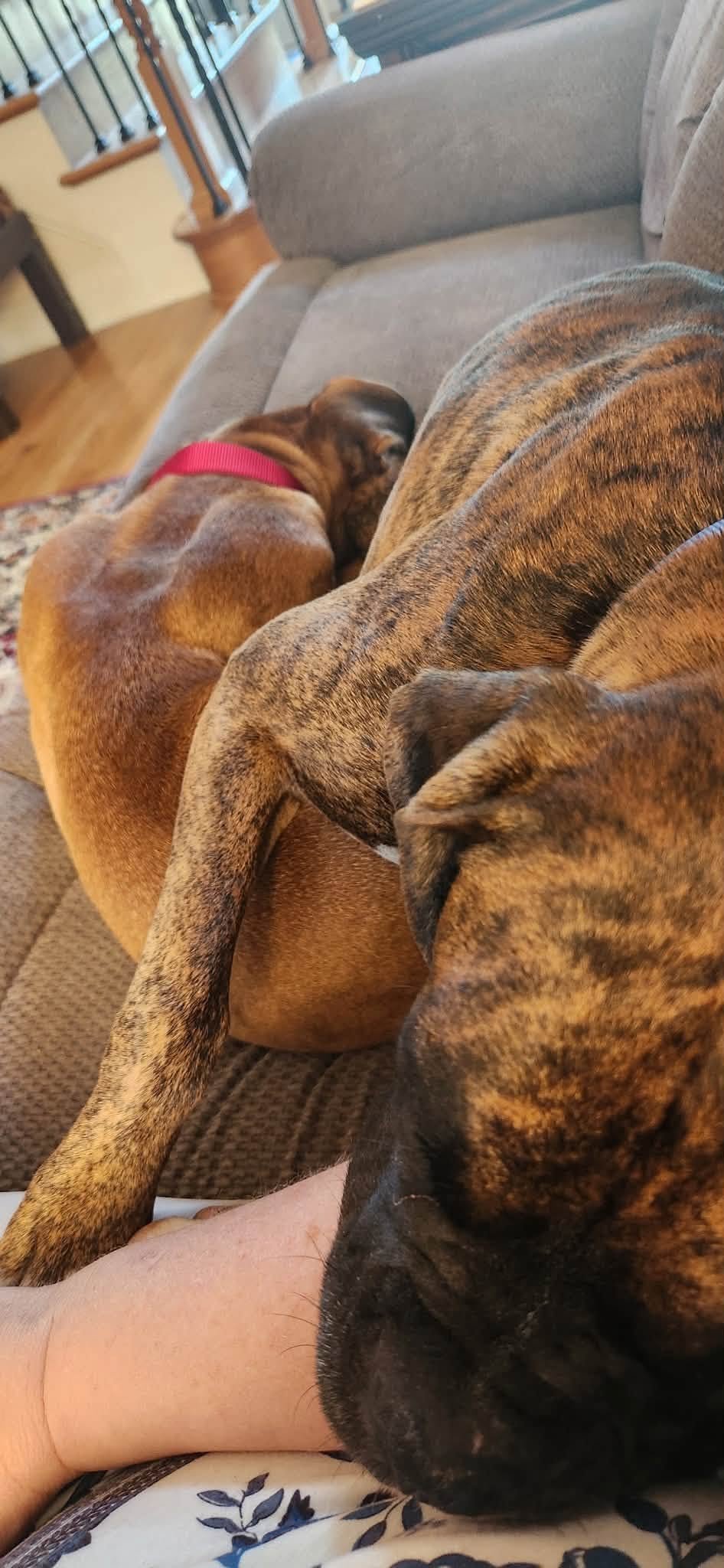 Holly and Burt, Age 3 